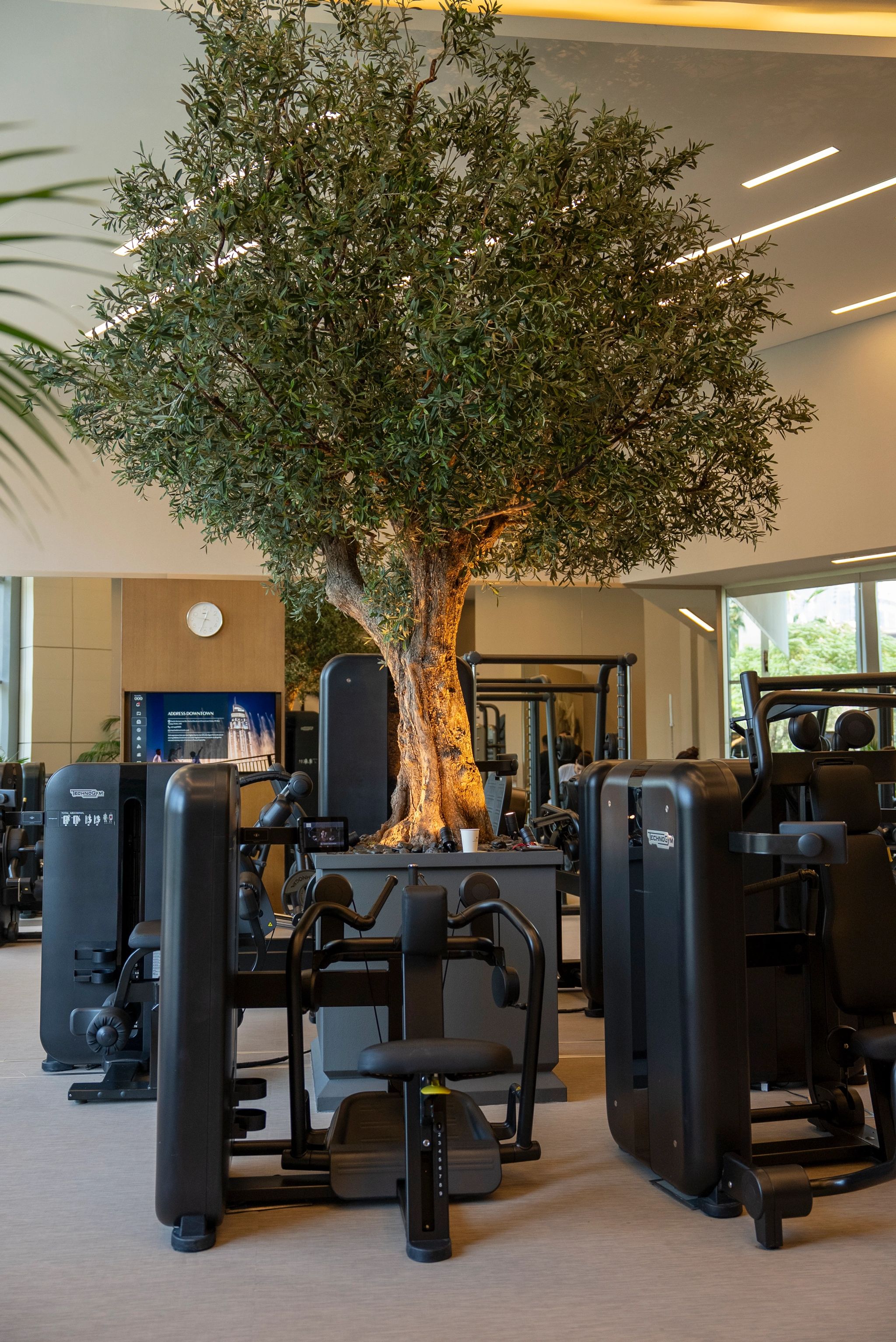 fitness center dt - academia de luxo - equipamentos modernos gym