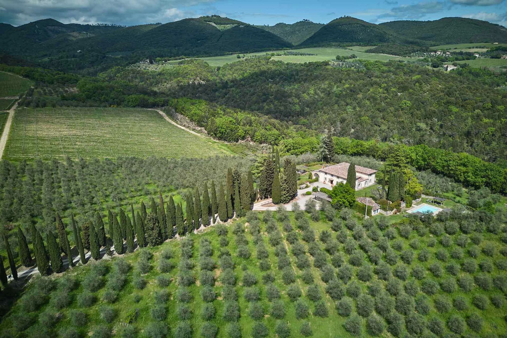 vinhedo na toscana –  vinhedos - hotel no camplo - villa de luxo - villa privativa