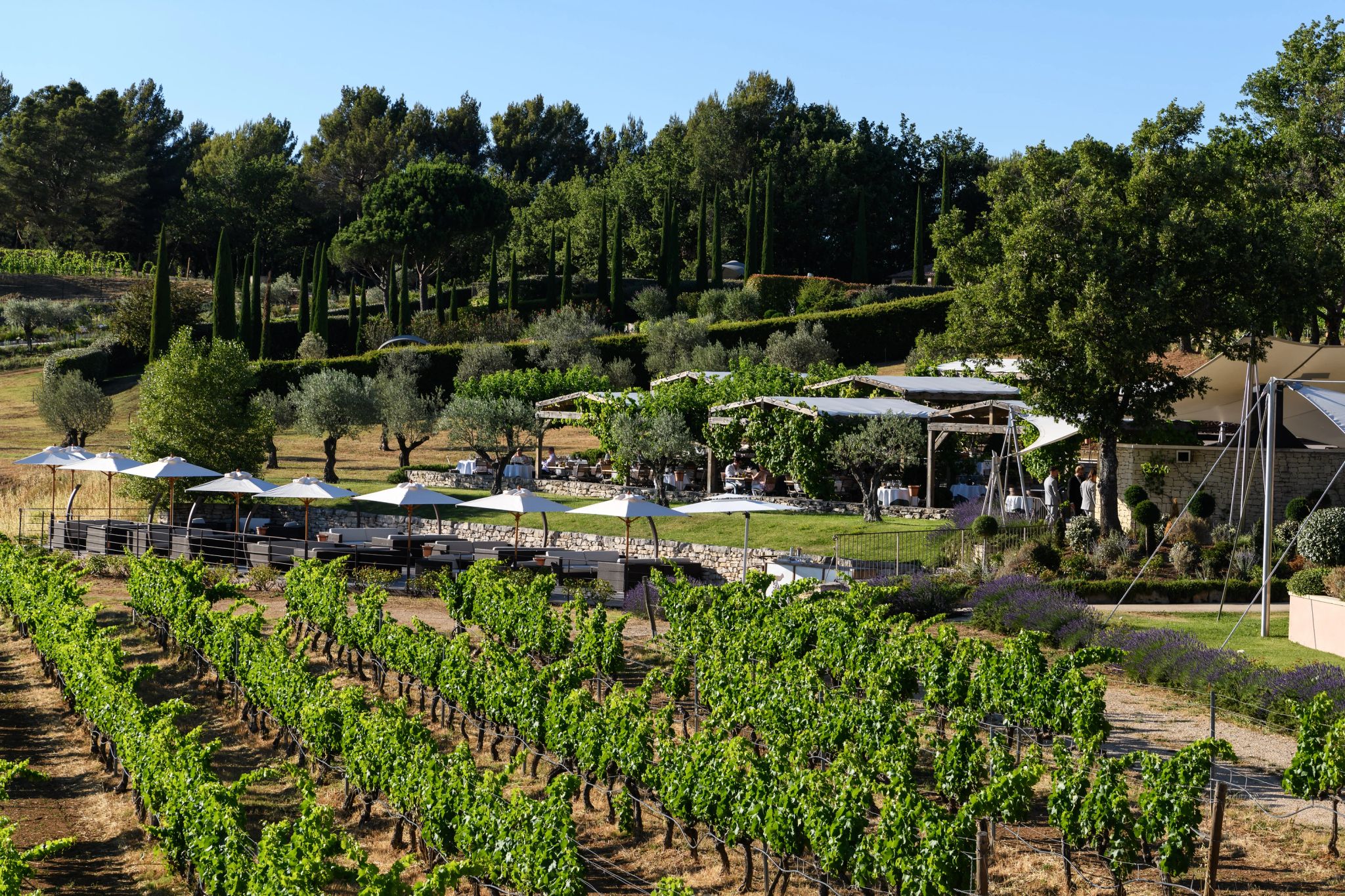 restaurante com terraço - plantaçao - produtos frescos - restaurante no campo - horta organica