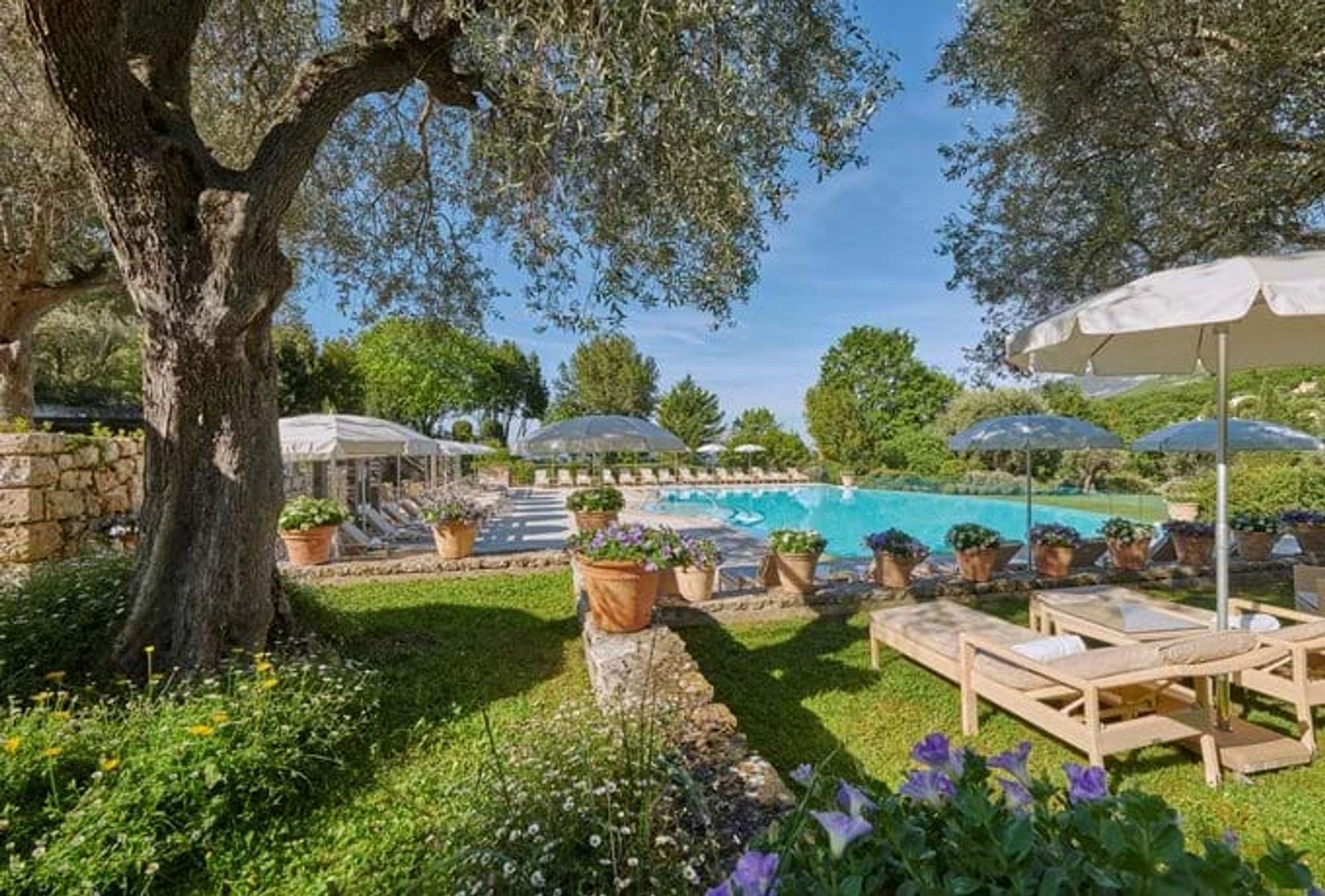 Piscina borda infinita hotel com piscina - piscina externa - banho de sol