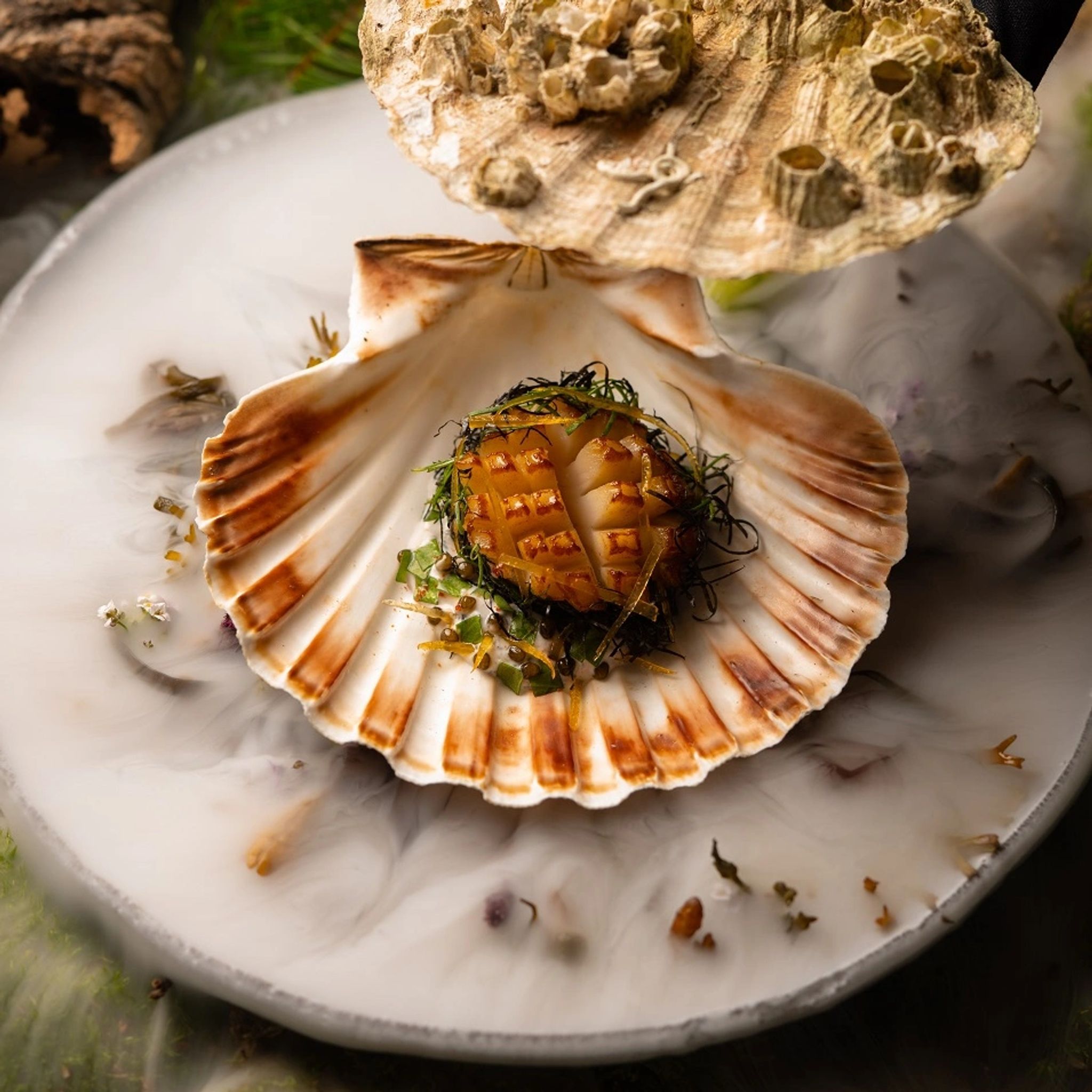 Restaurante Alain Ducasse frutos do mar - culinaria refinada - restaurante premiado