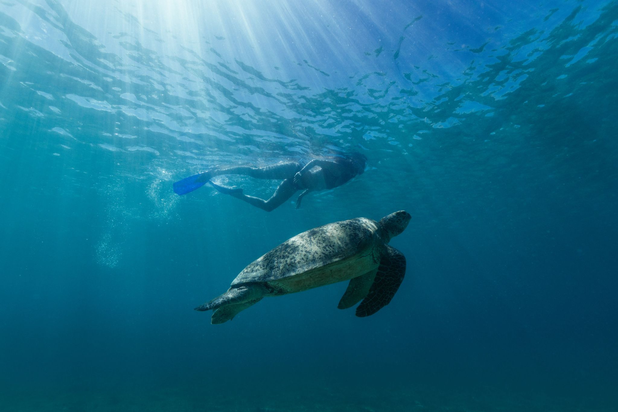 Experiências no hotel mergulho – contato com a natureza – atividades de lazer