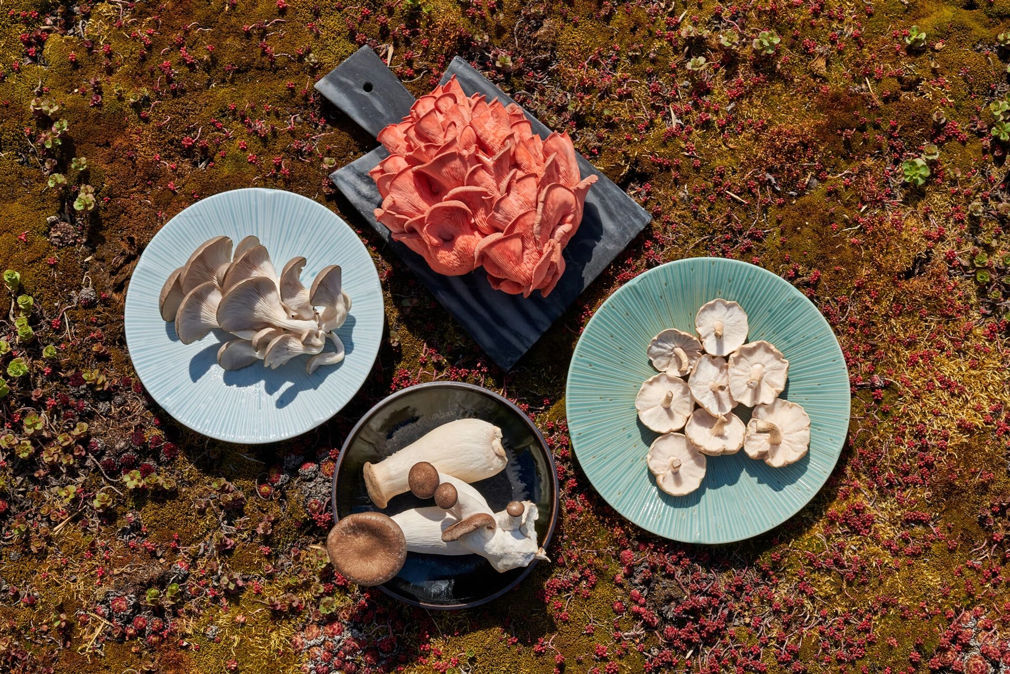 Gastronomia do Hotel pratos de culinaria asiatica servidos no four seasons hotel prague