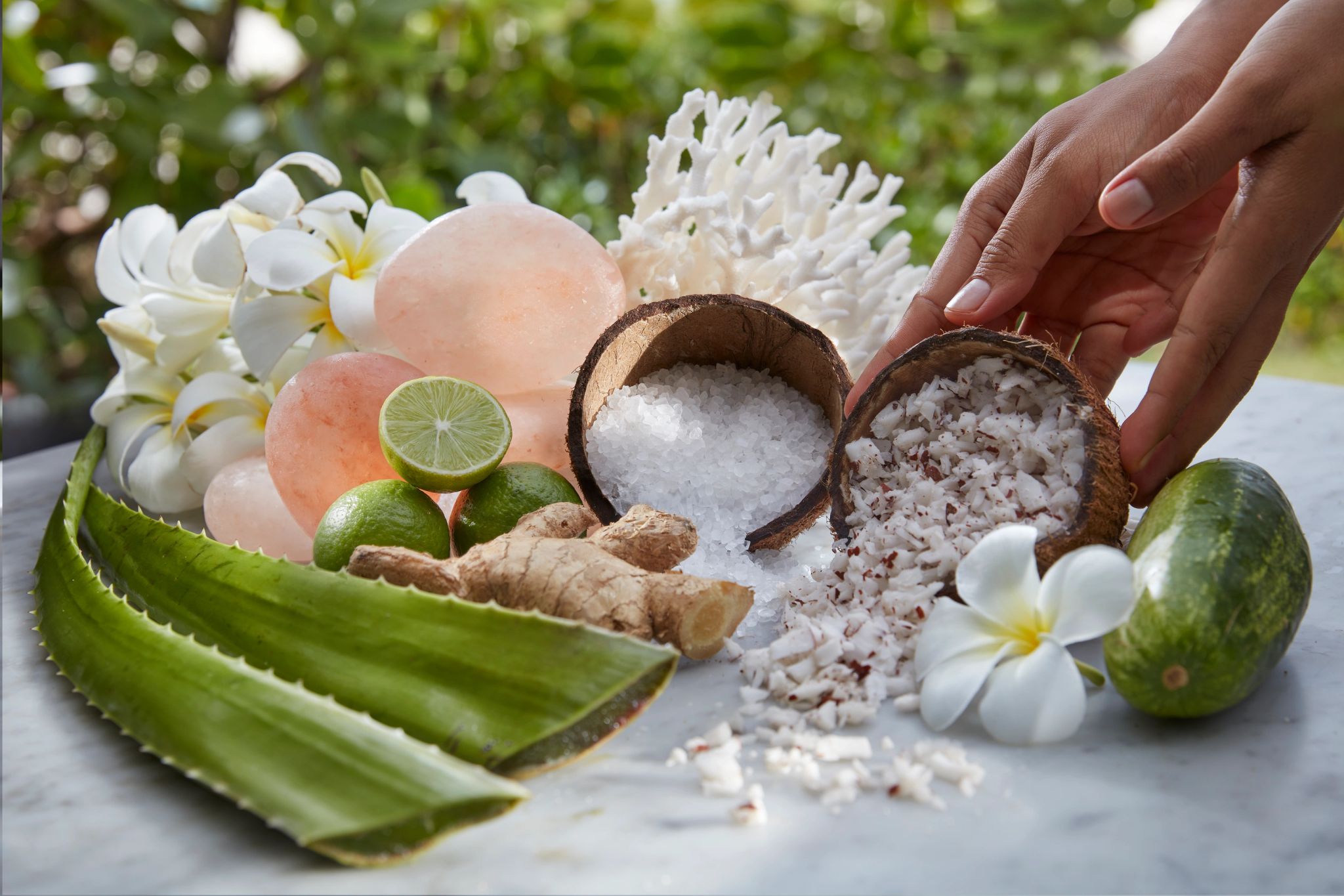 coco e ervas em tigelas - flores tropicais - spa de luxo