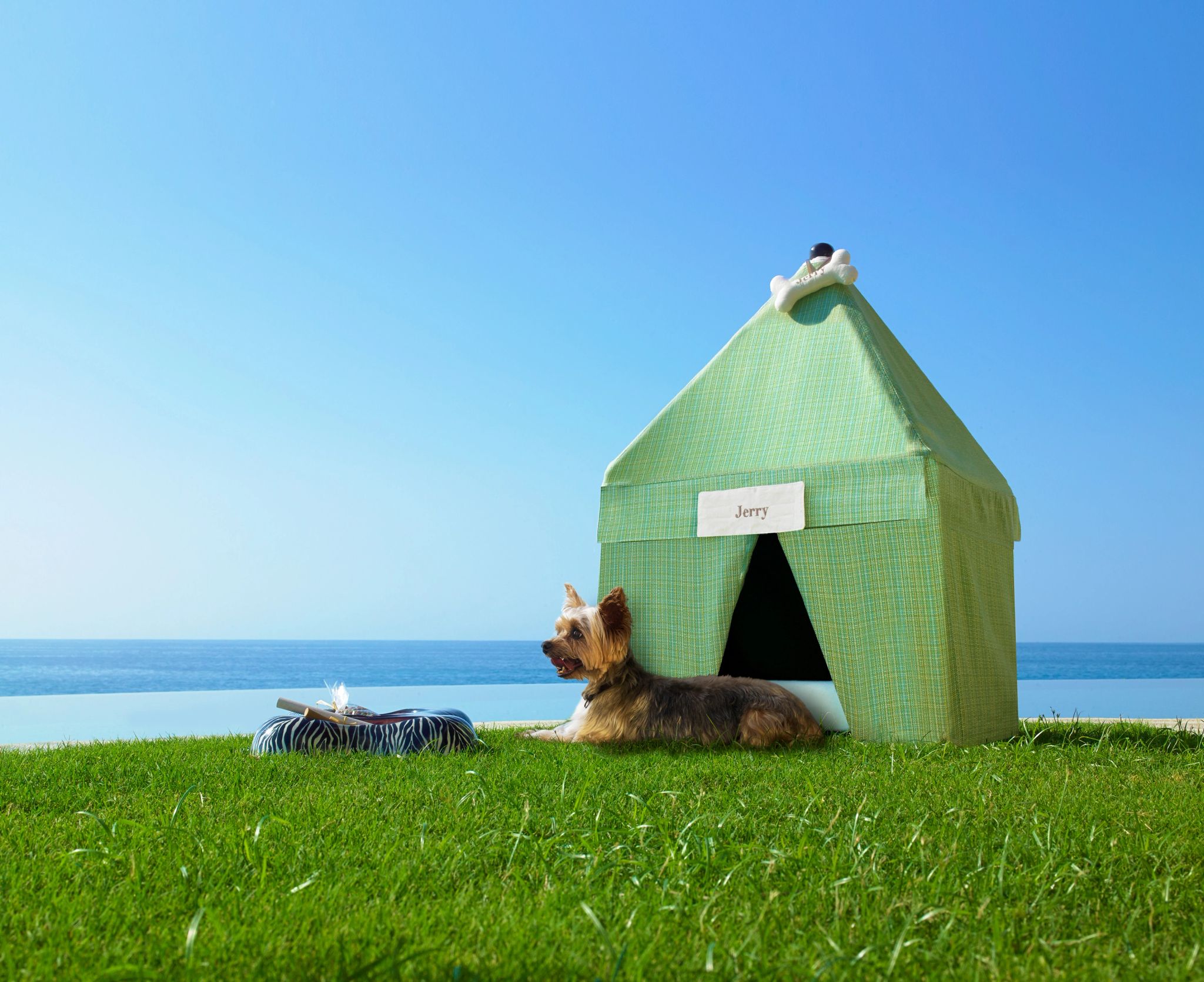 pet friendly - amenidades para pets - resort beira mar - resort de luxo