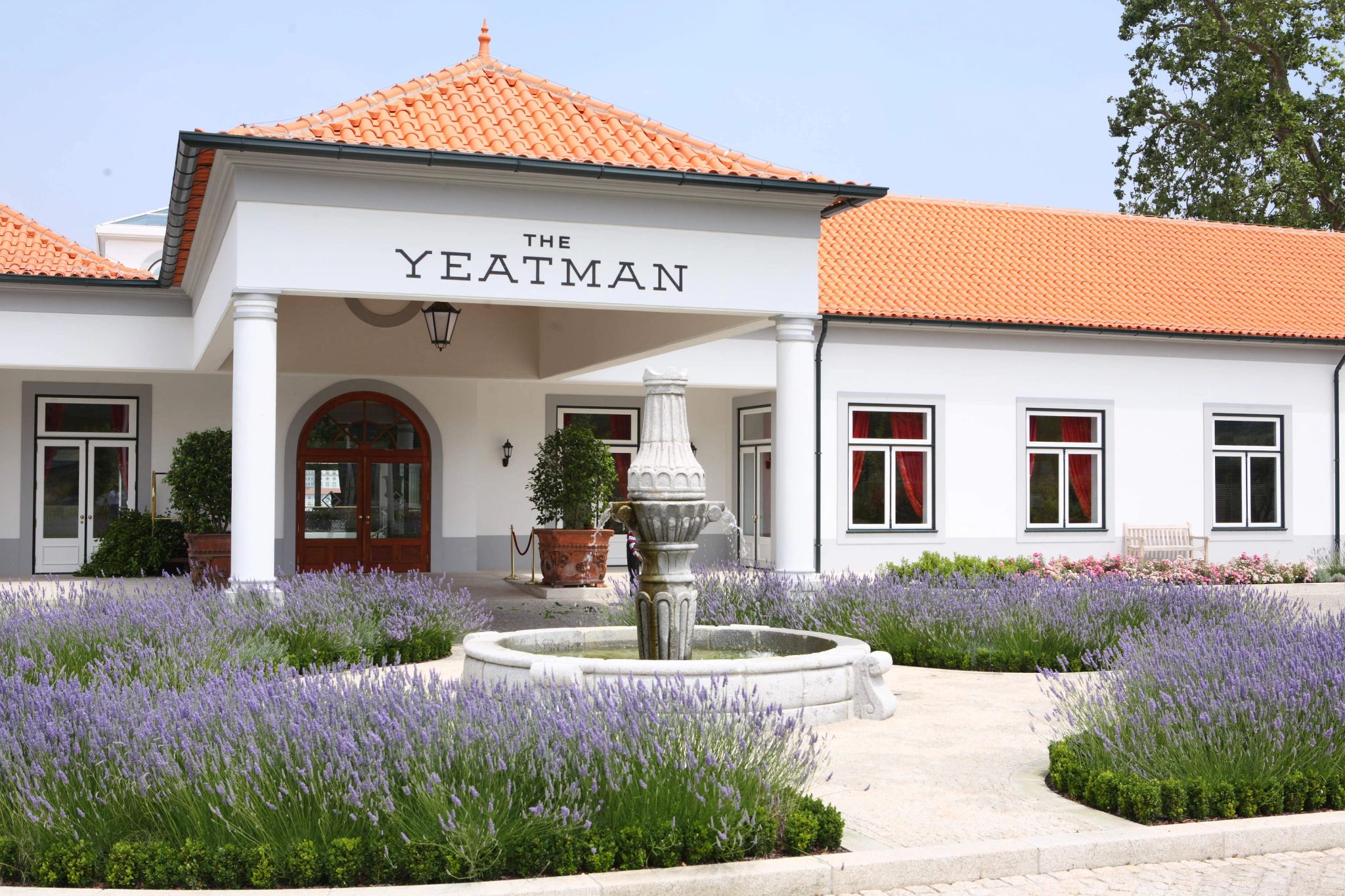 hotel 5 estrelas – the yeatman portugal – plantaçao de lavandas