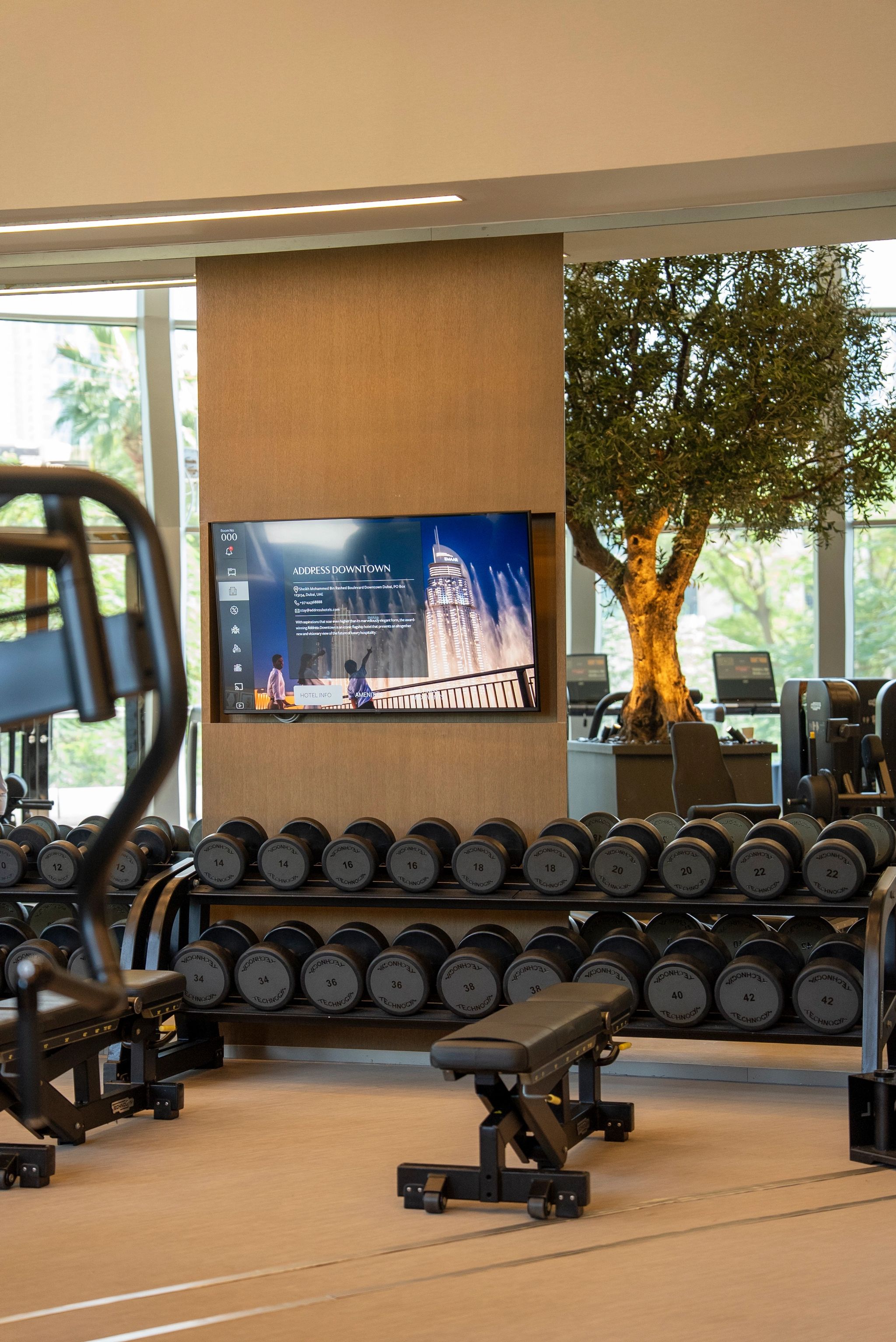 fitness center dt - academia de luxo - equipamentos modernos gym