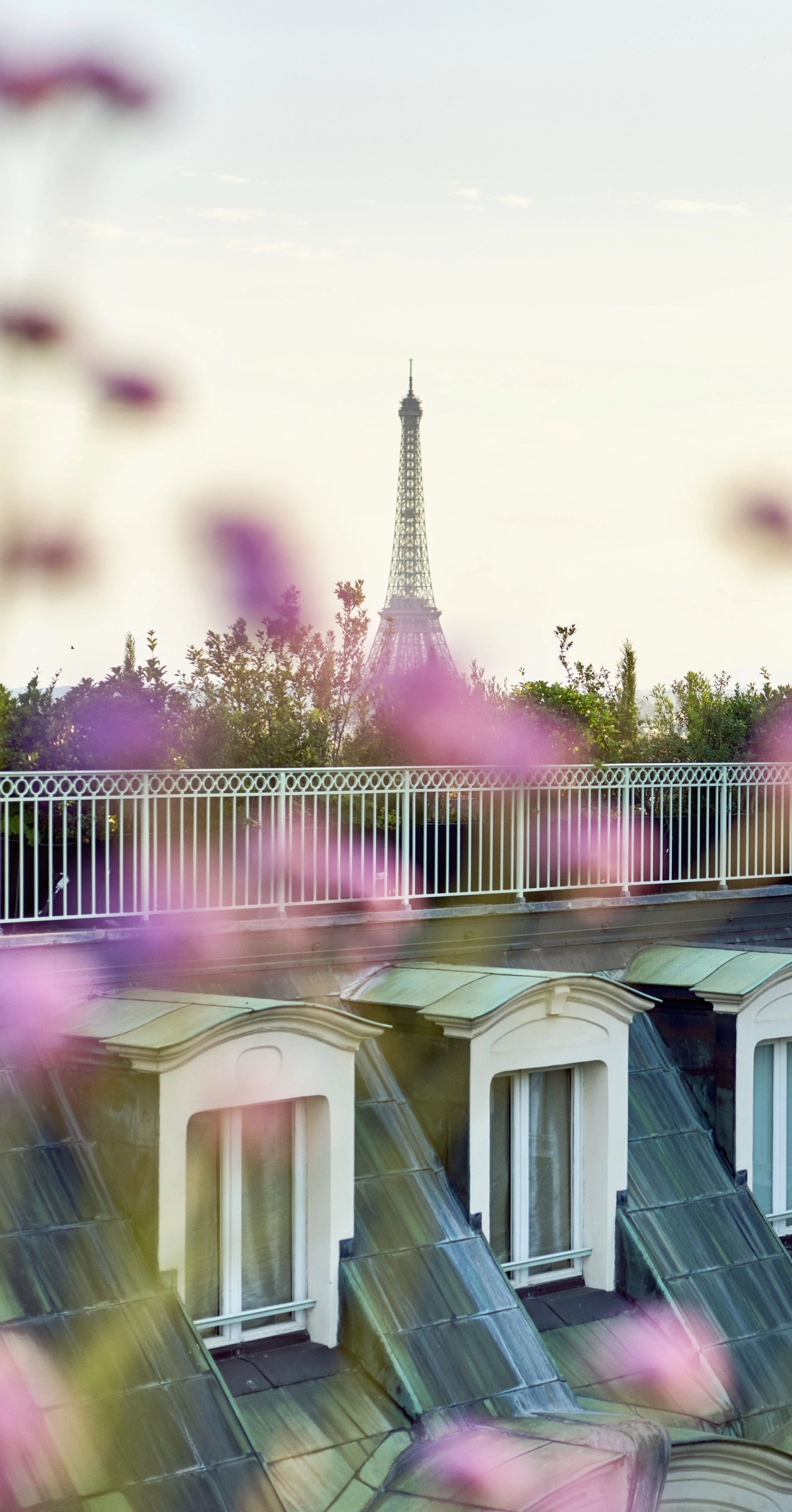 terraço florido - terraço amplo - vista torre eiffel - jardim florido - hotel em paris