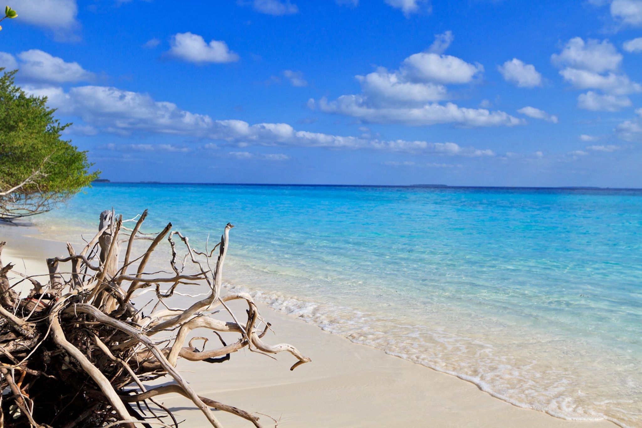 Vista Maldivas mar maldivas resort - praia exclusiva luxo - praia paradisíaca exclusiva