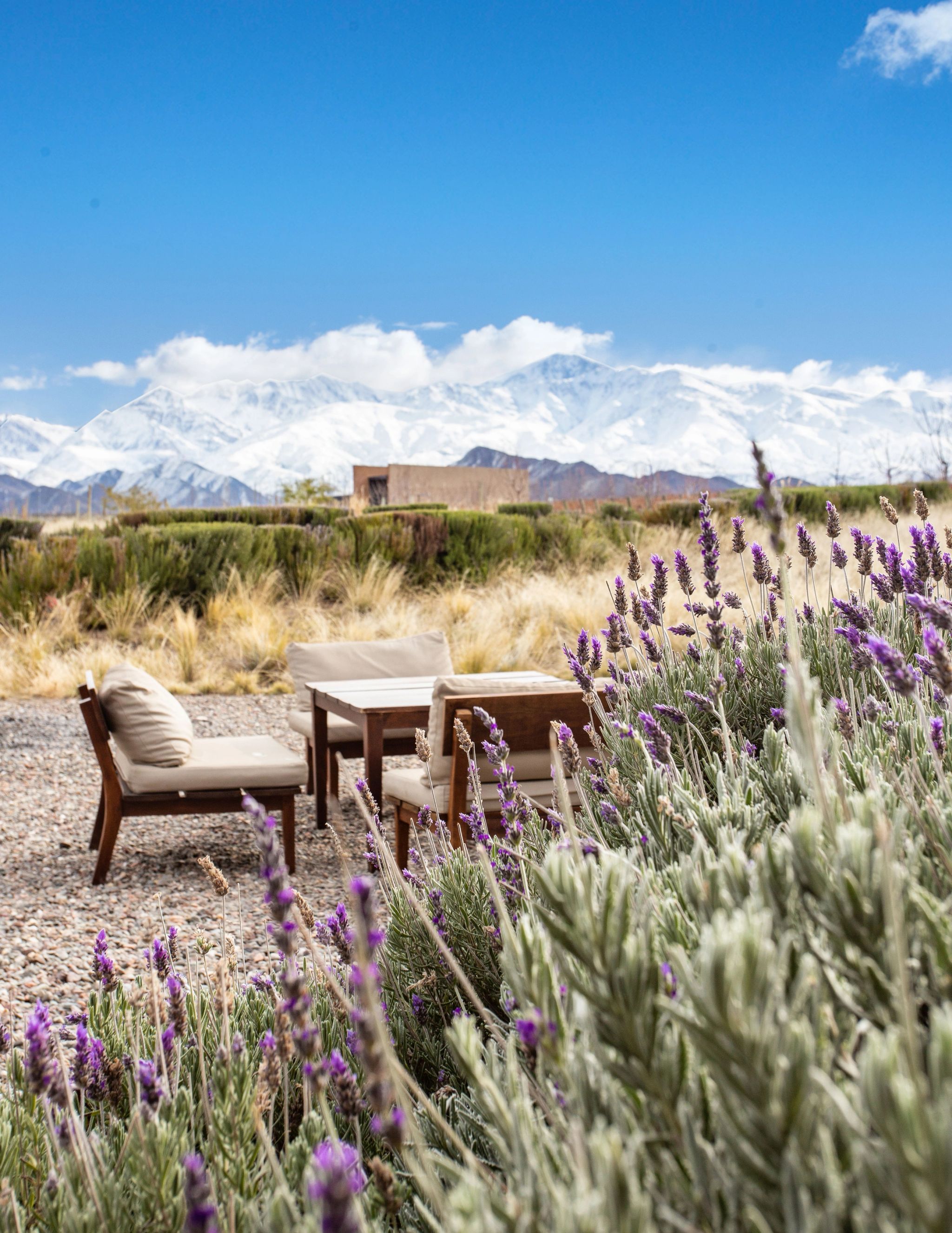 hotel em mendoza - argentina