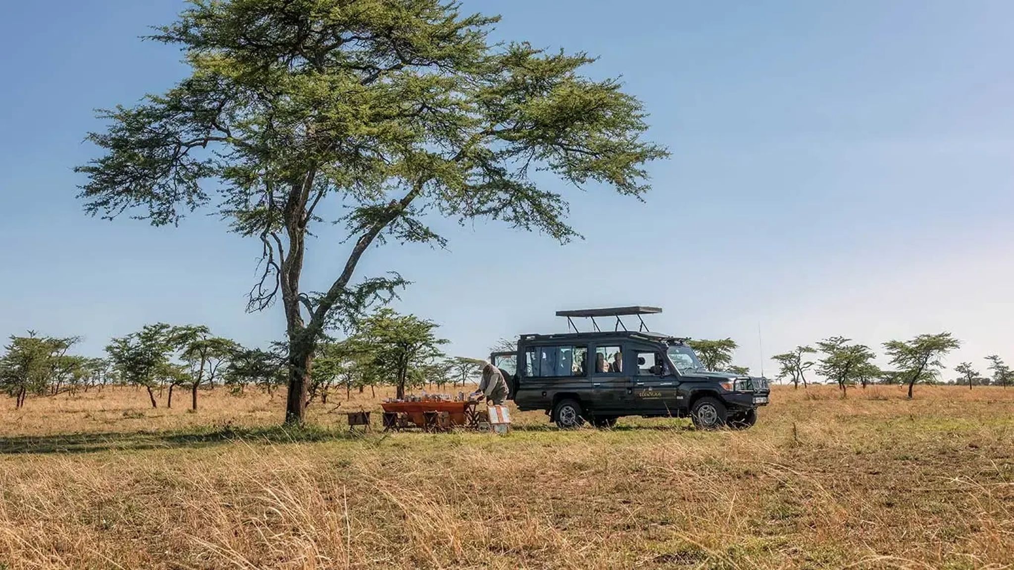 Villa Luxury Suite carro na savana - safari africano -