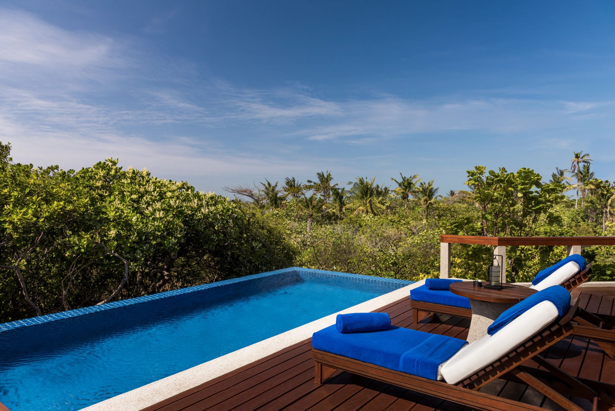 Treetop Pool Casita piscina infinita – piscina de luxo –  casa com piscina