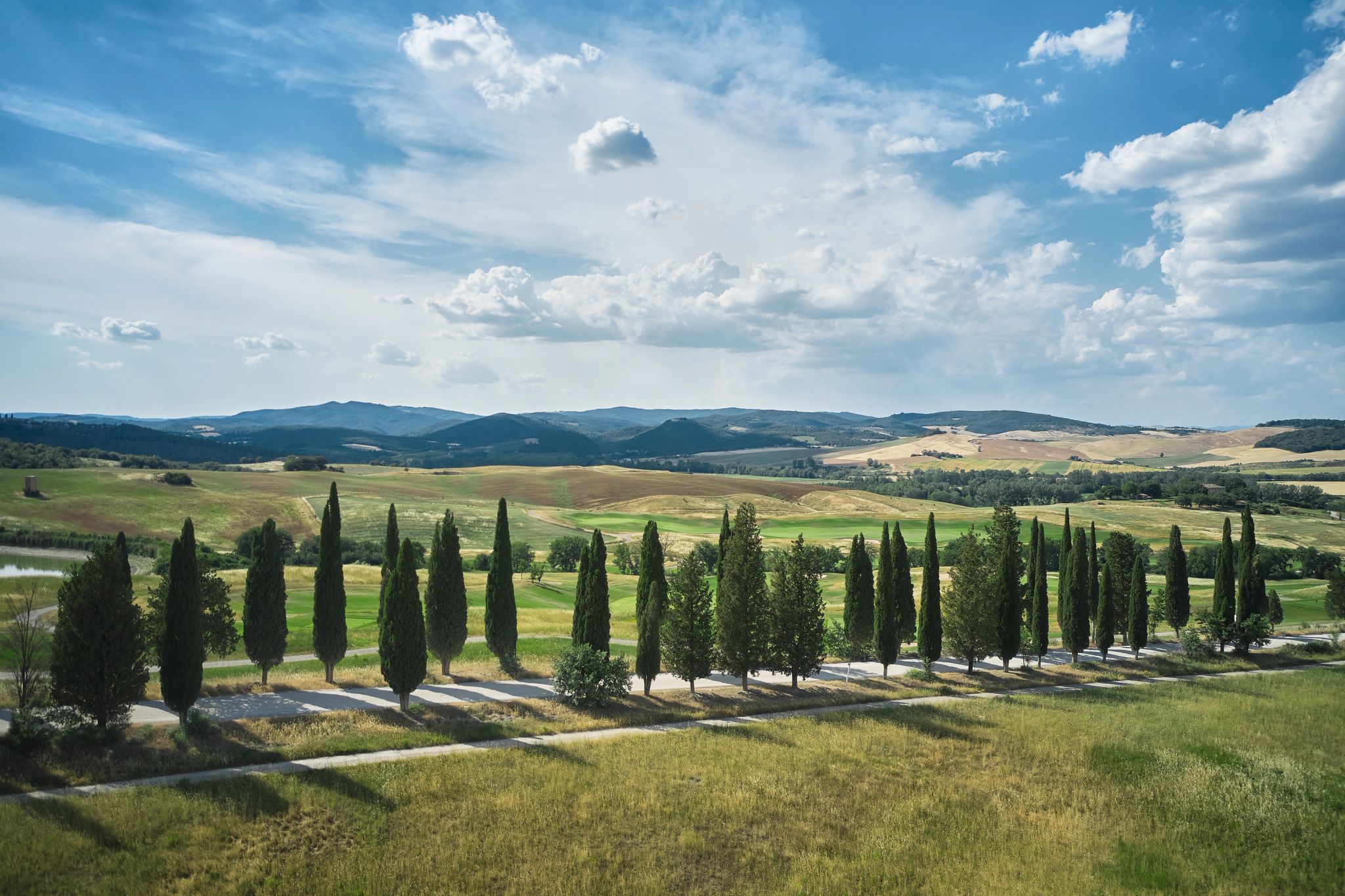 cipreste italiano – vista toscana – paisagem natural 