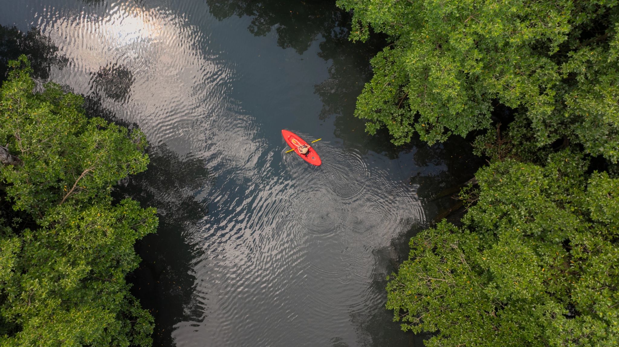 caiaque – esporte aquatico – floresta tropical – vista aerea - destino de natureza