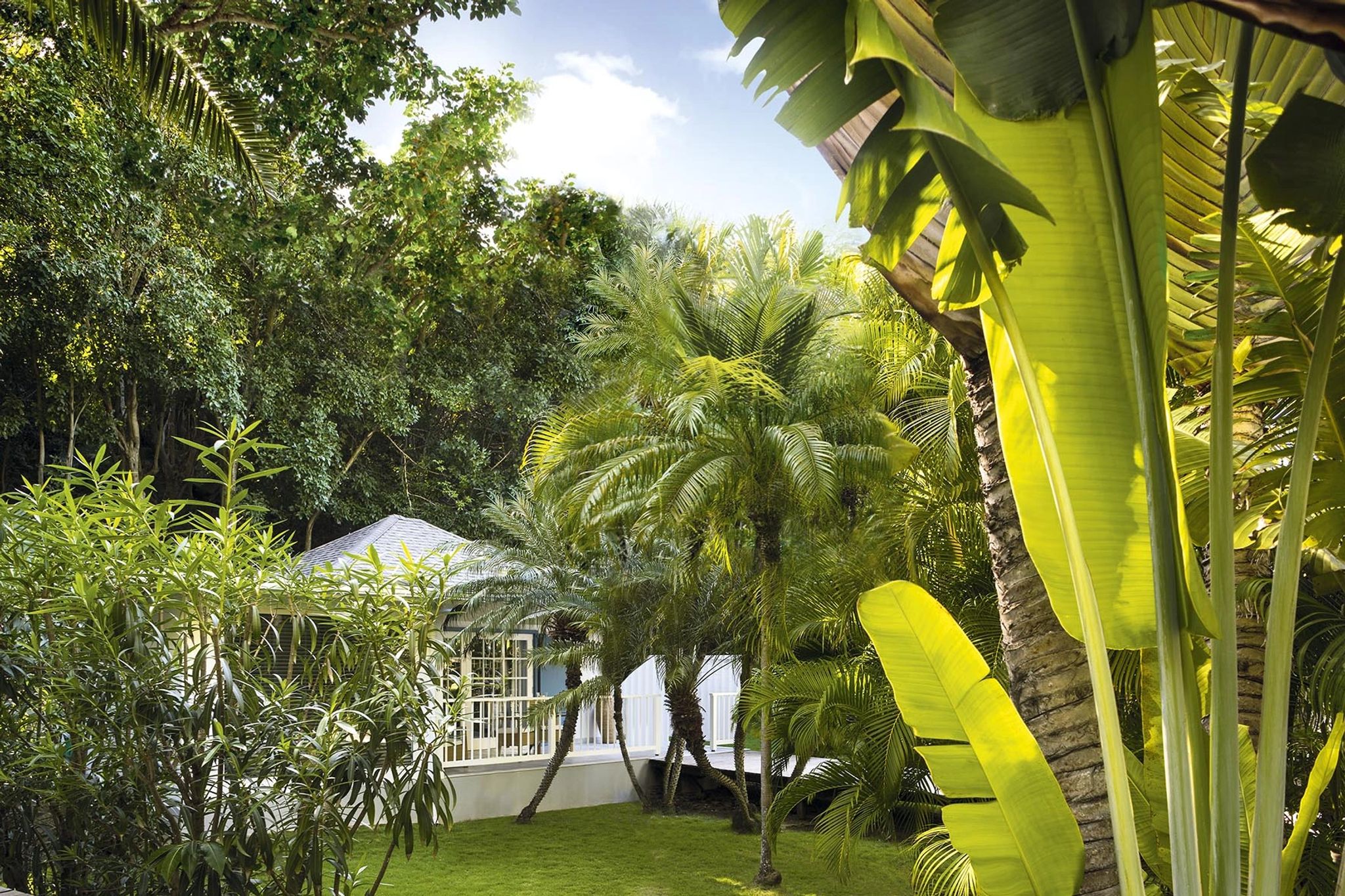 Garden Bungalow decoraçao clean – quarto vista jardim – destino de natureza