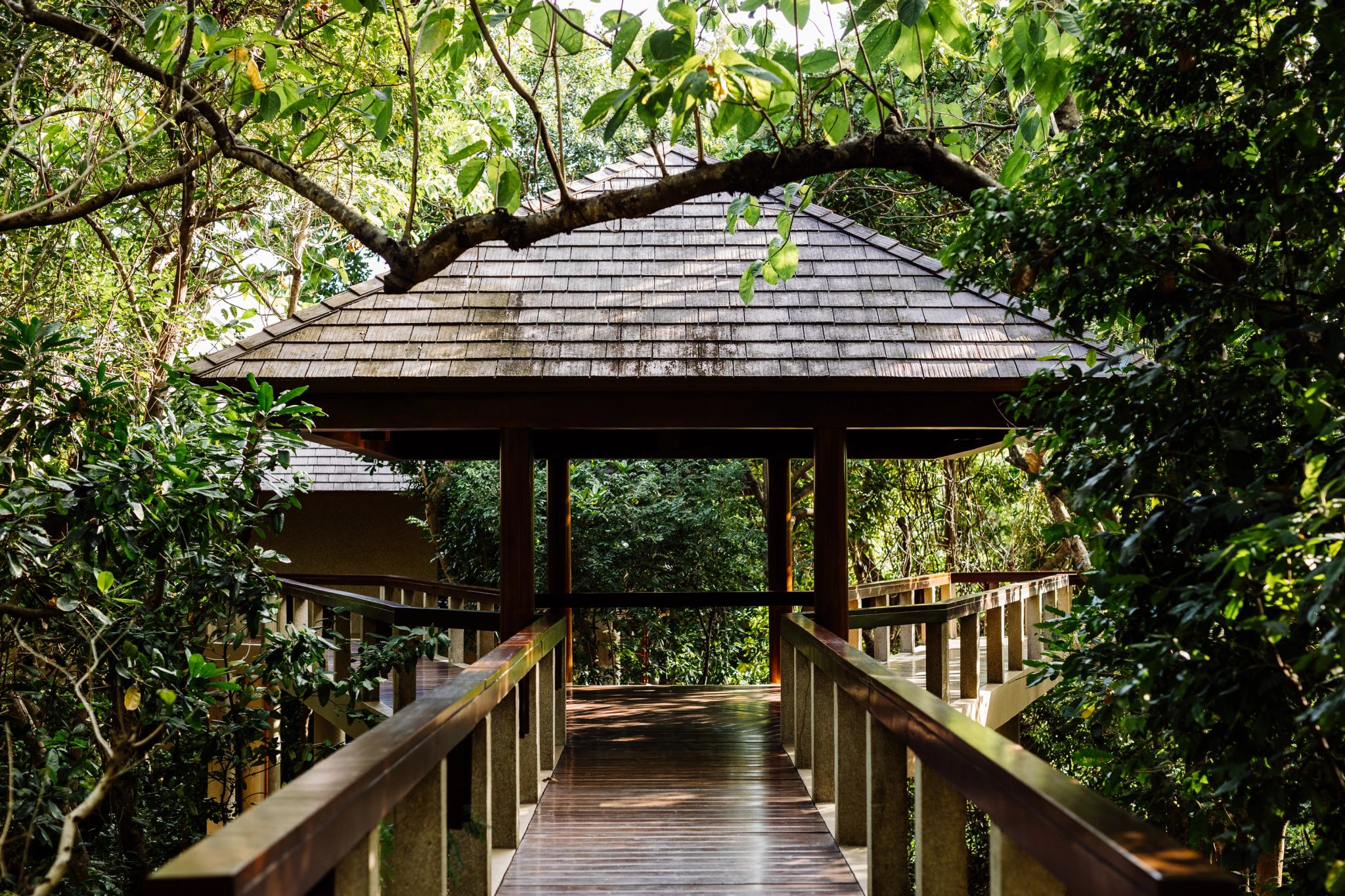 Treetop Casita   arquitetura em madeira – hospedagem de luxo – quarto vista jardim