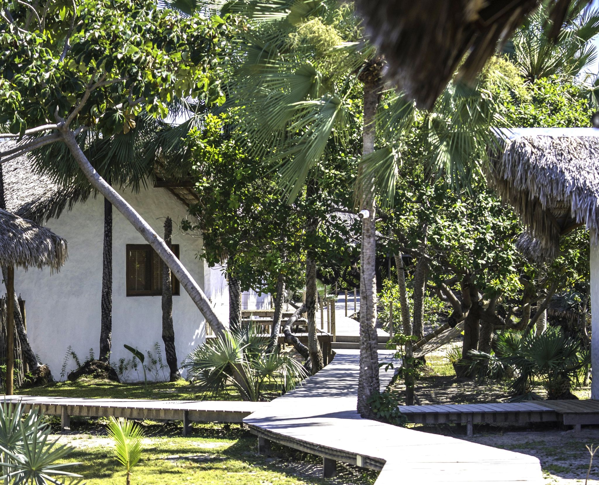 bangalo de luxo - natureza - jardim privativo