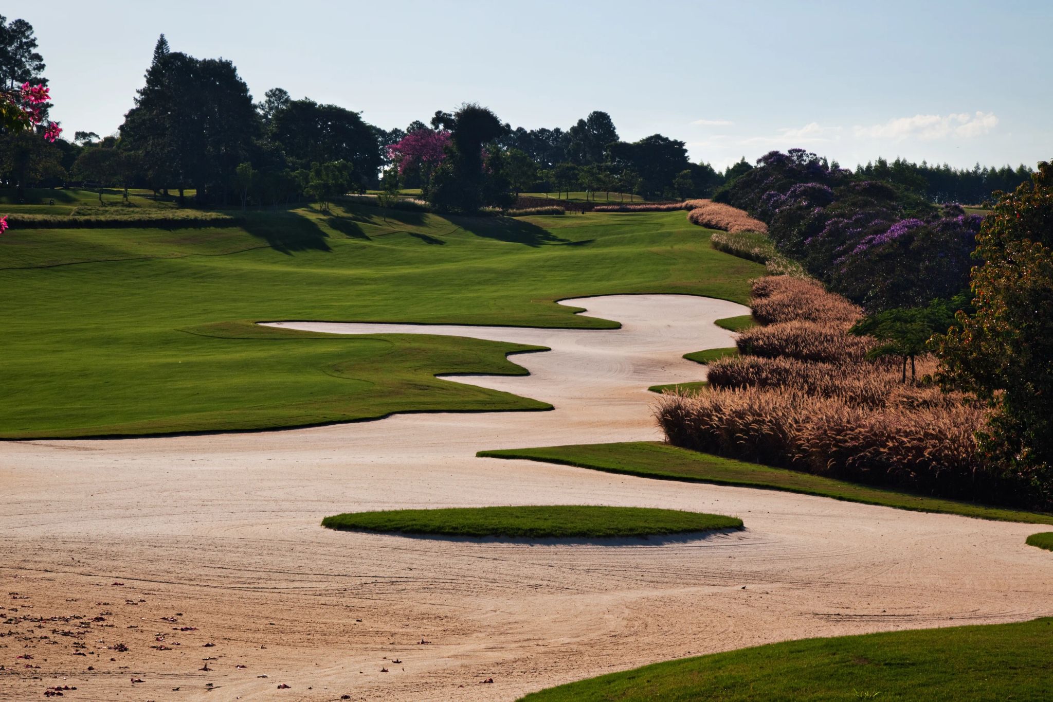 atividades esportivas - campo de golfe natural