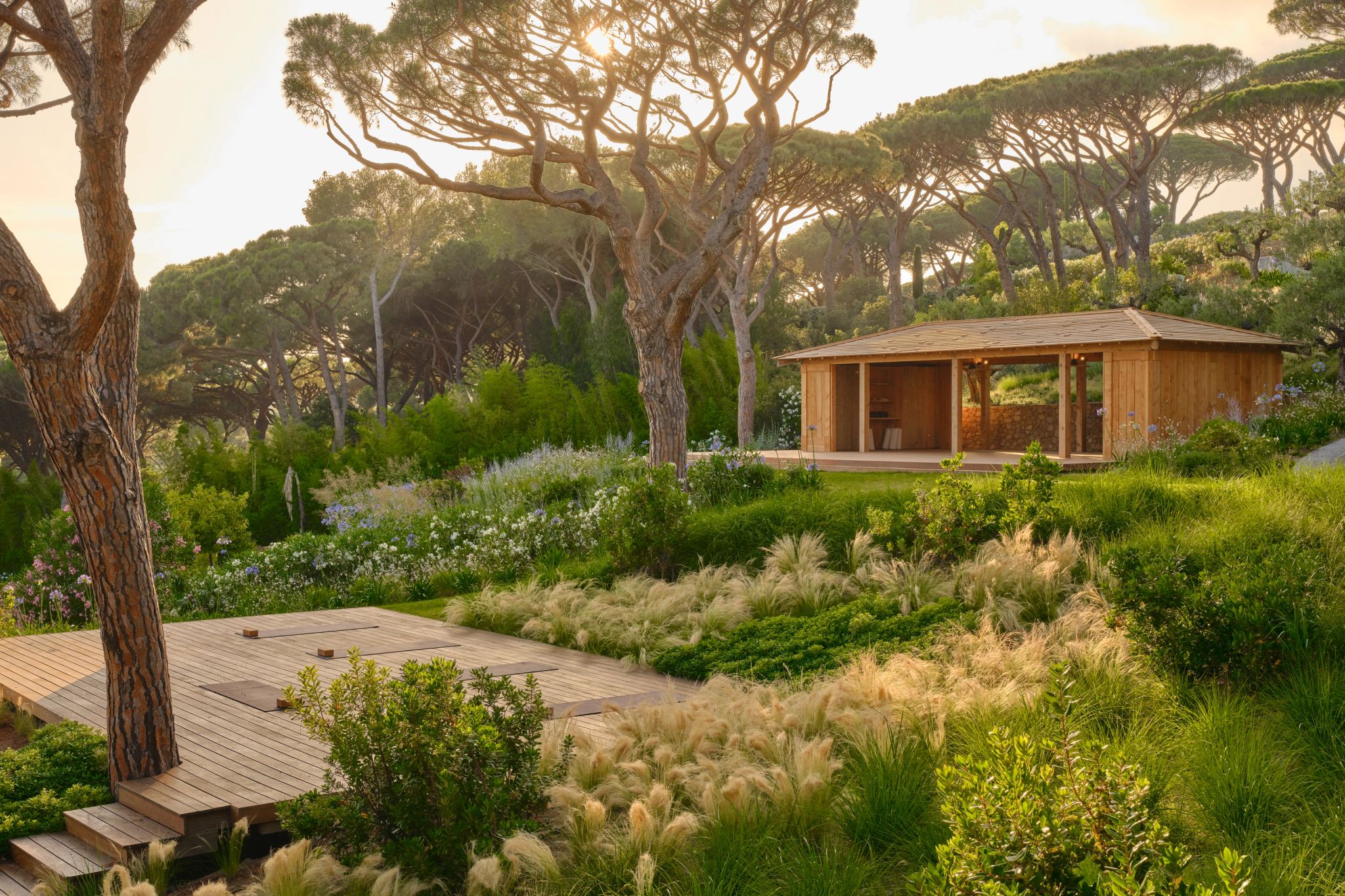 Atividades no Hotel atividades ao ar livre – academia ao ar livre – aula de ioga