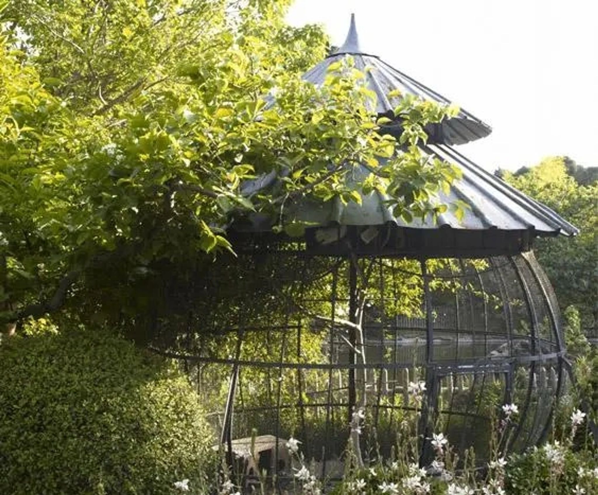 Jardim do Hotel jardim hotel provence – natureza mediterranea franca