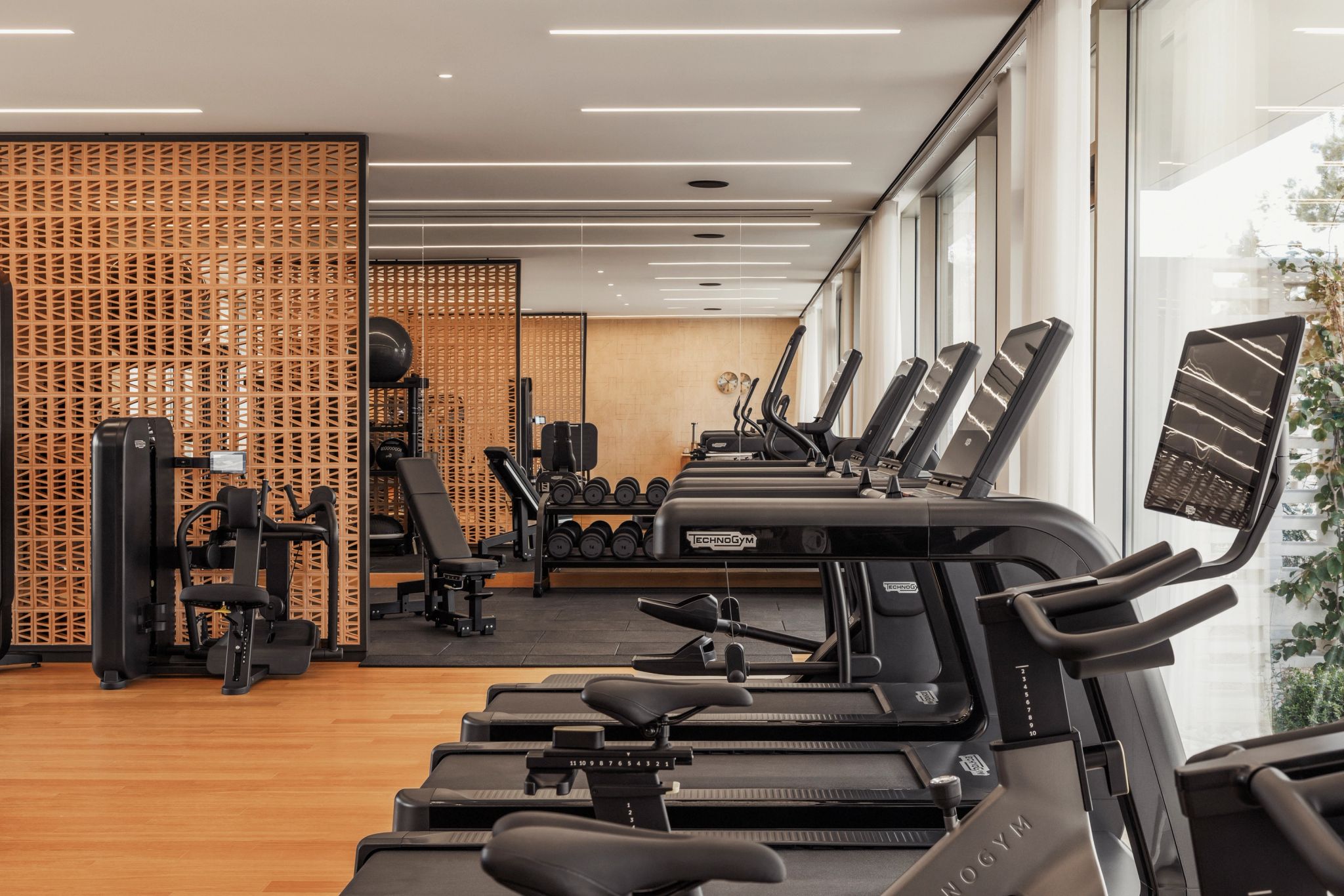 Academia academia – cardio – musculacao