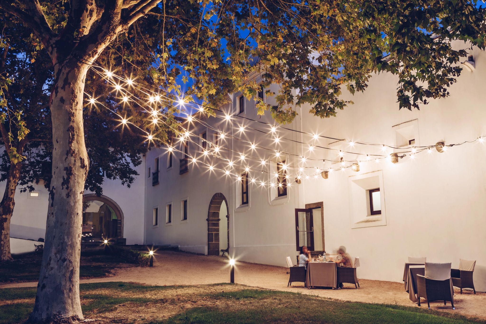 patio interno a noite - luzes decorativas - oliveira iluminada