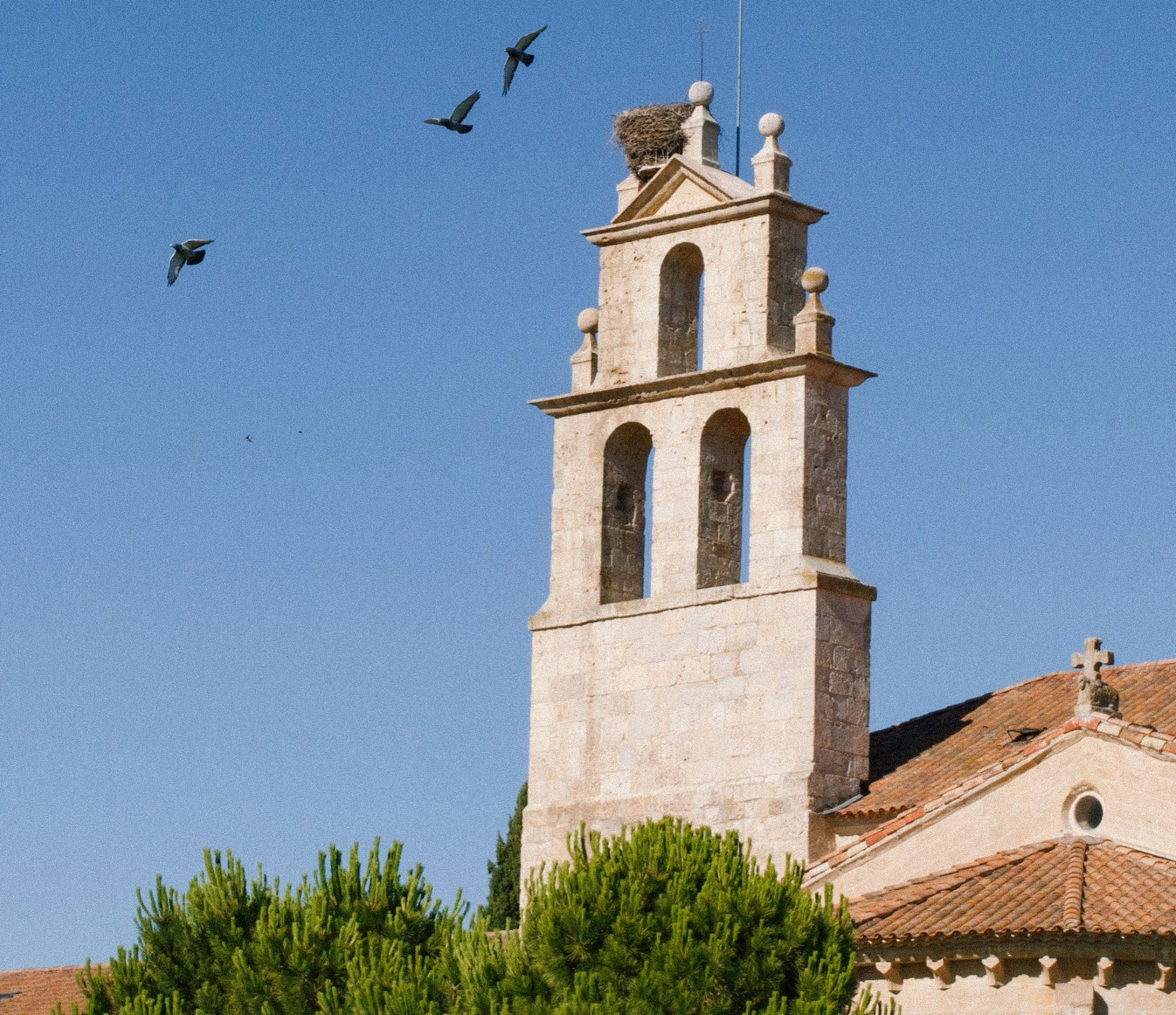 Vistas paisagem vinicola - hotel abadia retuerta - vista campo