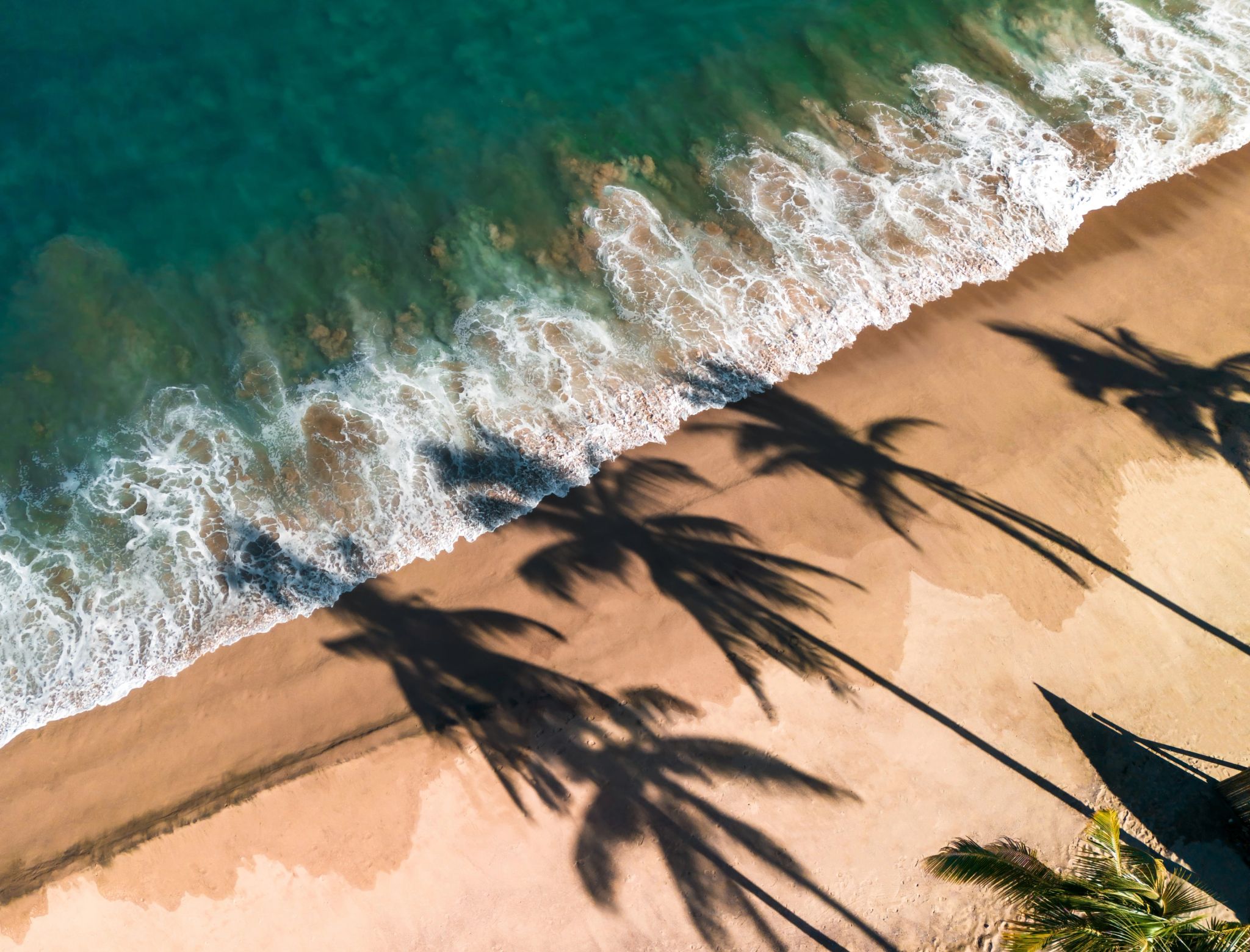 vista aerea - sombra dos coqueiros - paisagem tropical - melhores praias no mexico