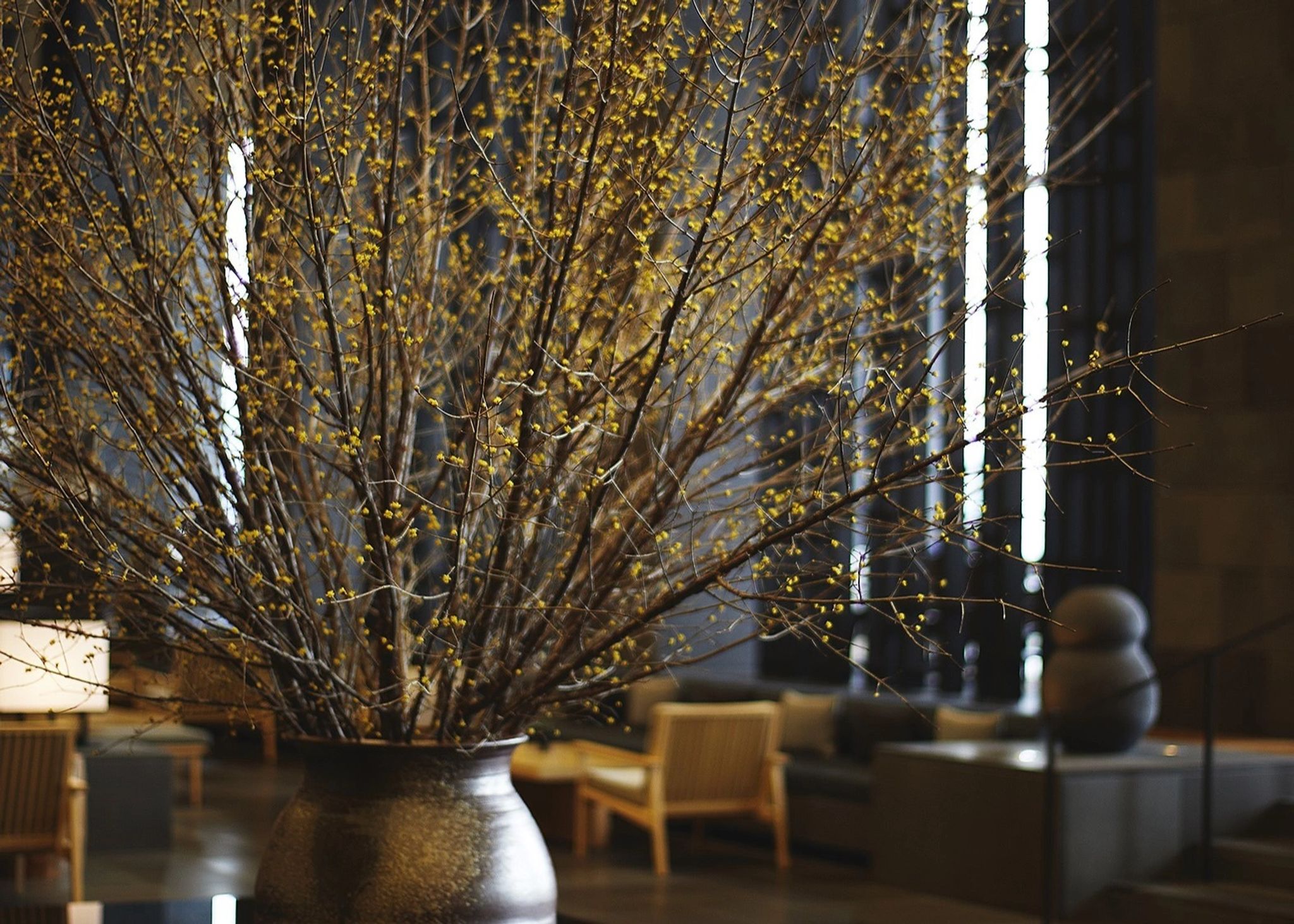 arranjo de plantas - vaso de flores - decoraçao oriental - lounge de hotel