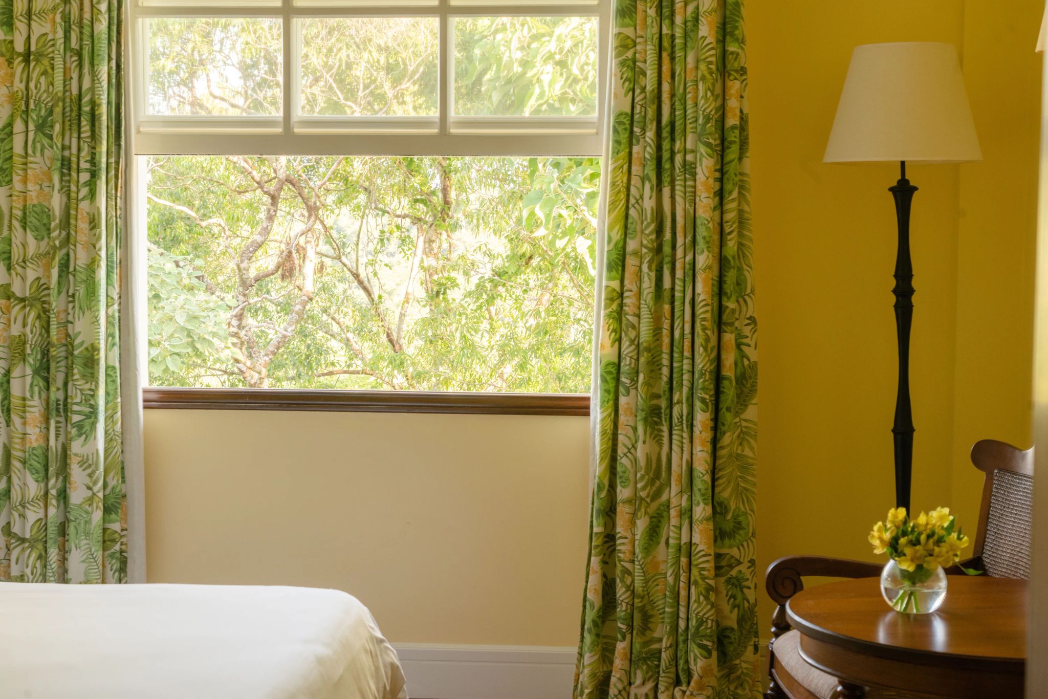 janela do quarto das cataratas