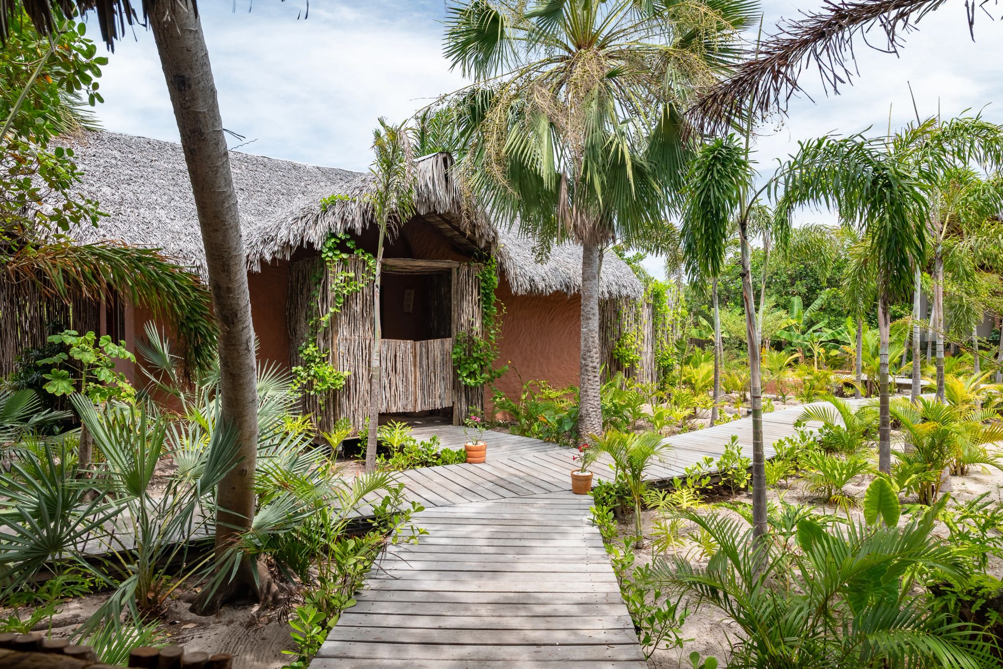 jardim interno - paisagem natural - natureza - oia pop up atins