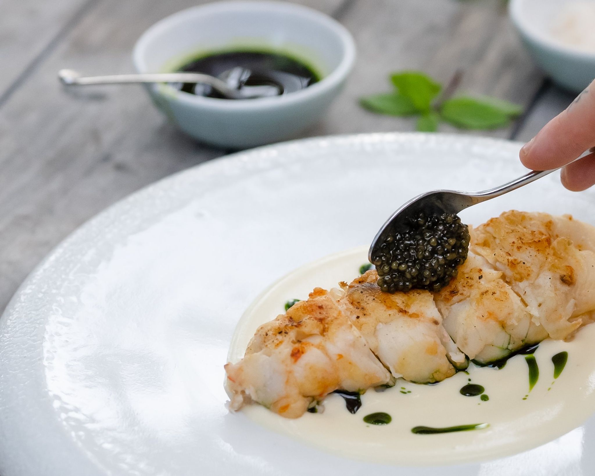 prato gourmet - alta gastronomia - pratos de chef michelin - culinaria italiana