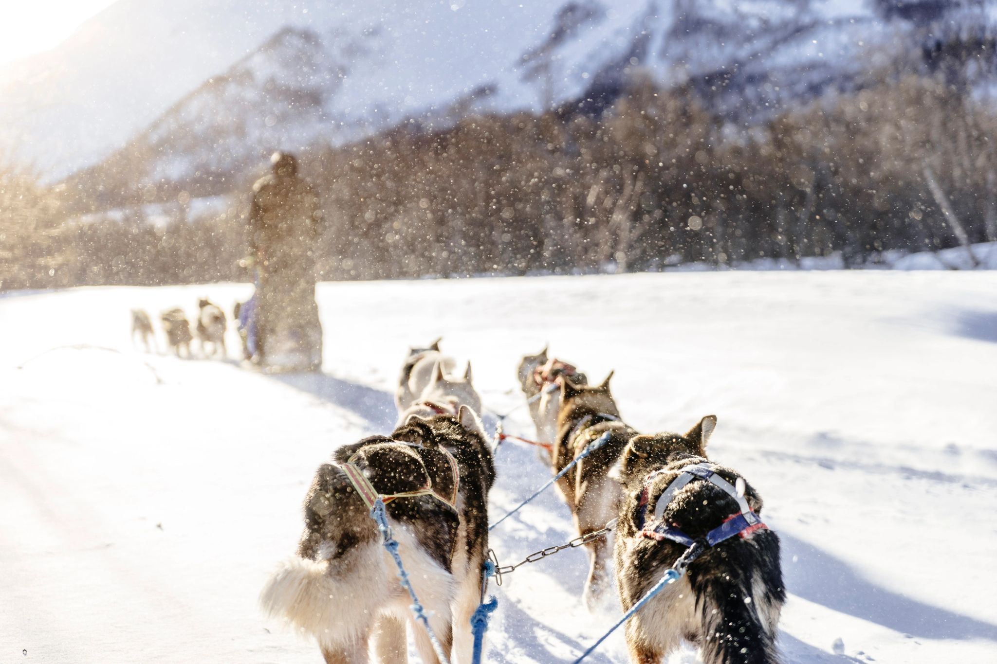 ski – esportes de neve – experiencias four seasons -destino de neve - esportes radicais