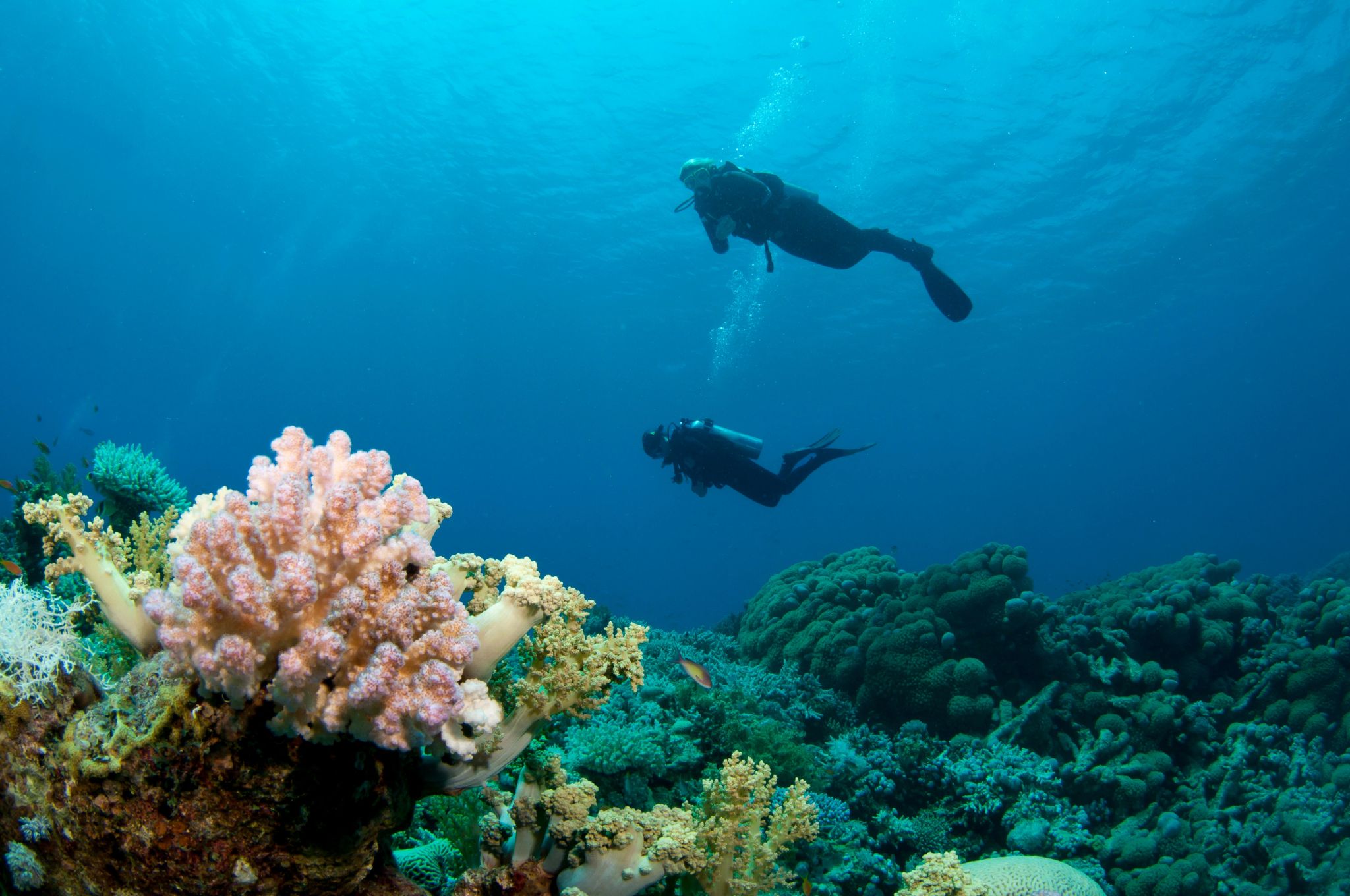 Mergulho viagem mergulho - viagem de luxo mergulho - hotel de luxo mergulho