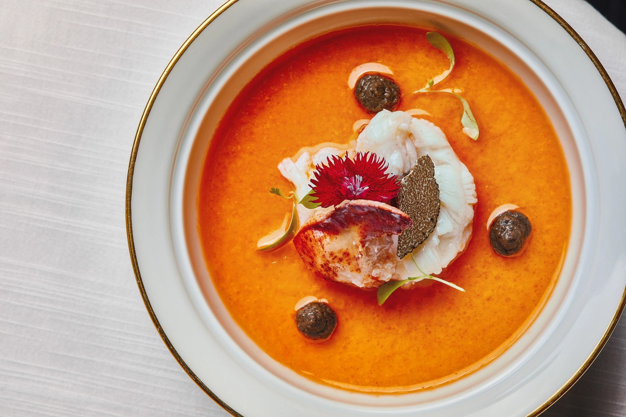 Pratos gourmet pratos gourmet - culinaria saudavel - vida saudavel - culinaria botanica