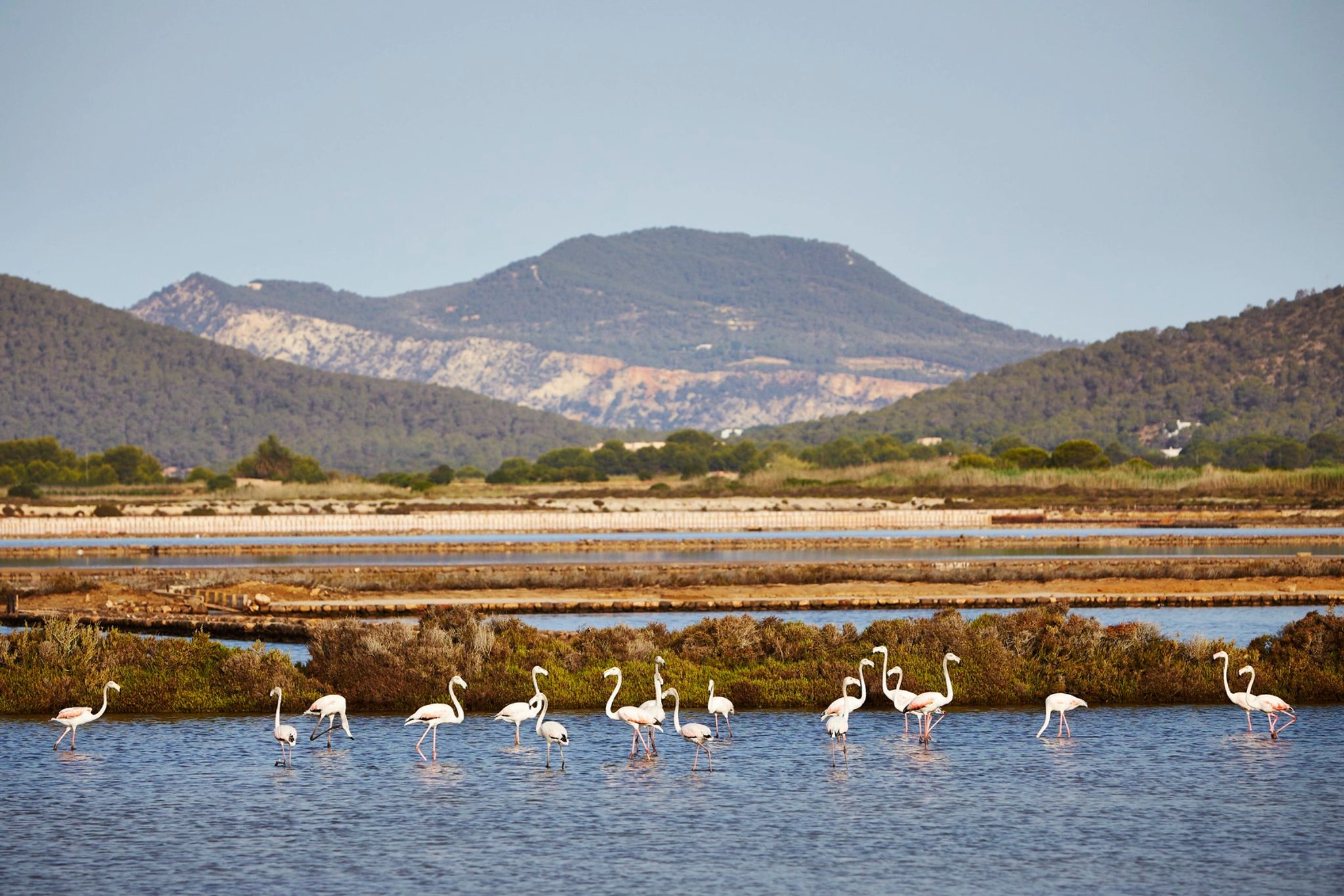 Ibiza natureza preservada proxima a resorts em ibiza
