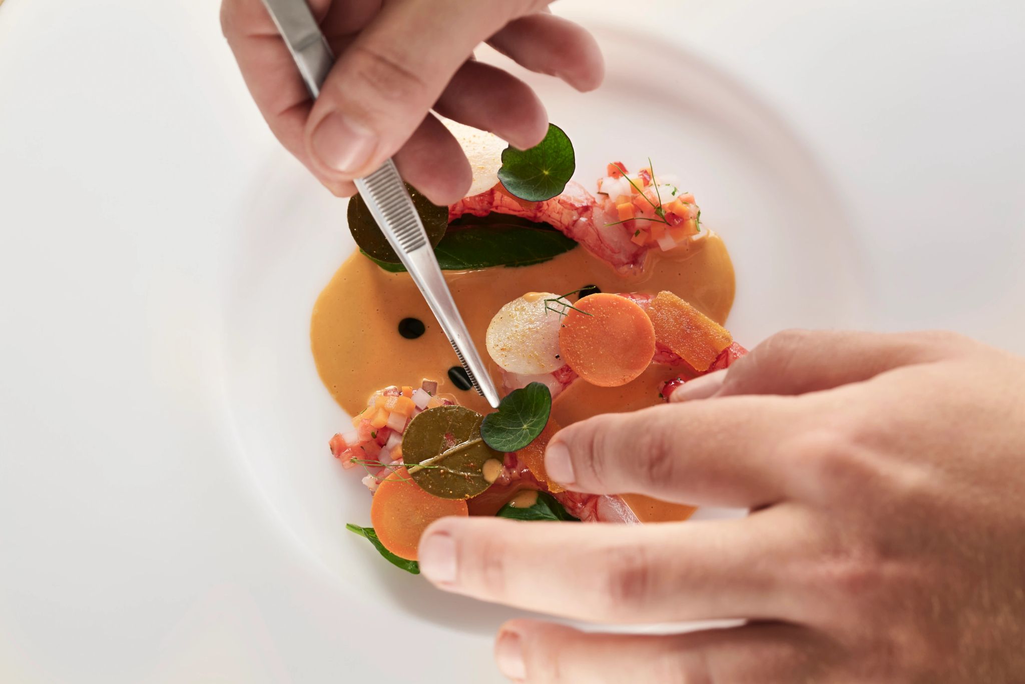 Pratos gourmet alta gastronomia - pratos gourmet - culinaria mediterranea