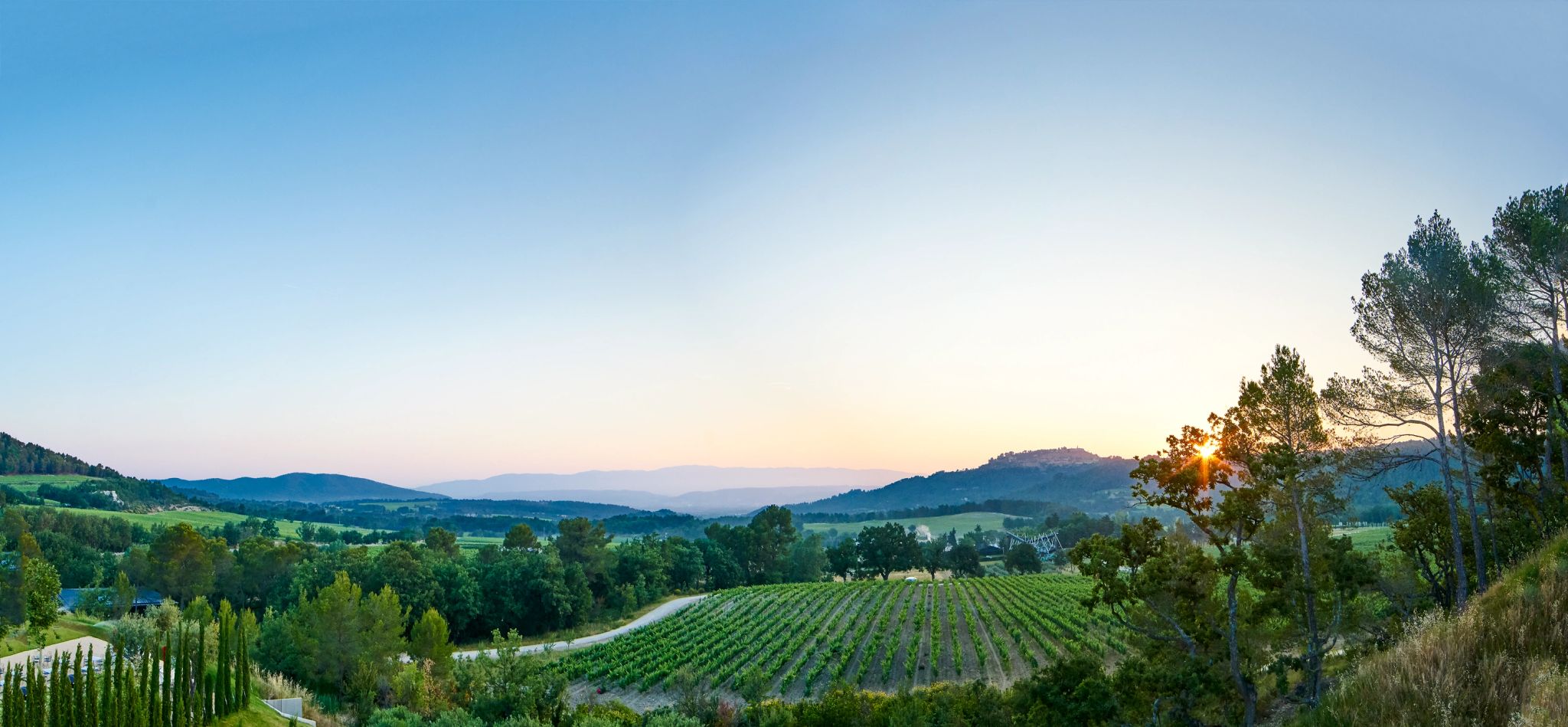 Vinhedos Chateâu La Coste por do sol - paisagem natural - vinicola - natureza - hotel no campo - hotel com vinicola