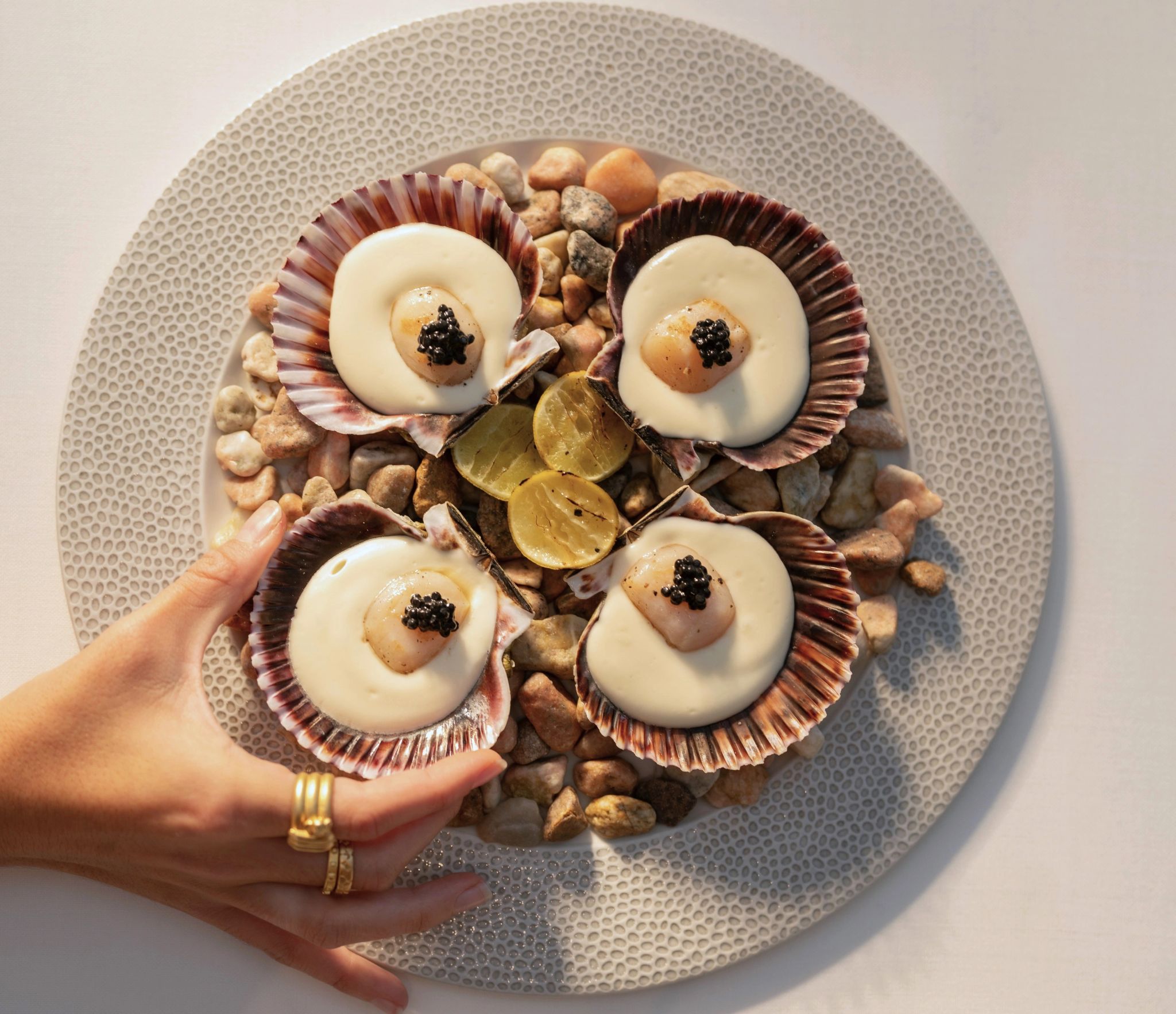 Pratos gourmet pratos gourmet - alta gastronomia - comida saudavel