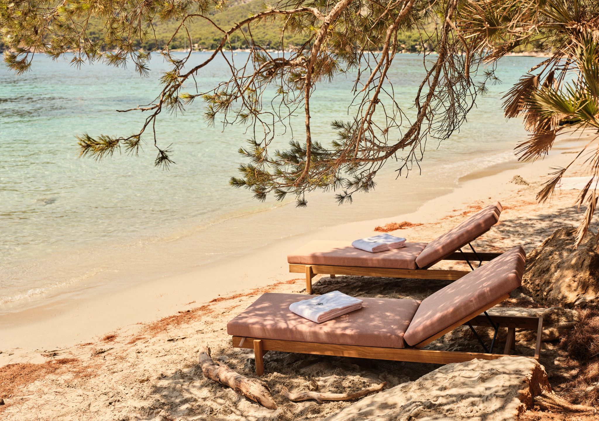 Praia Formentor espreguicadeiras na areia - mar azul turquesa - pinheiros ao fundo