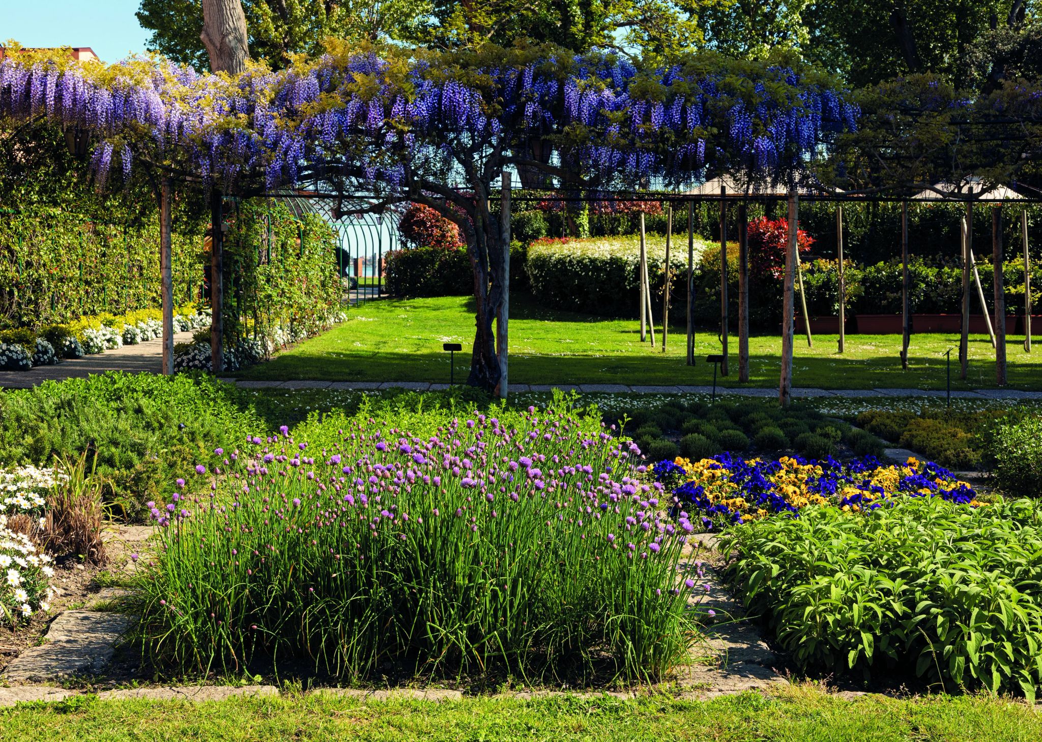 jardim do hotel - paisagismo - flores do jardim - lavanda - jardim interno