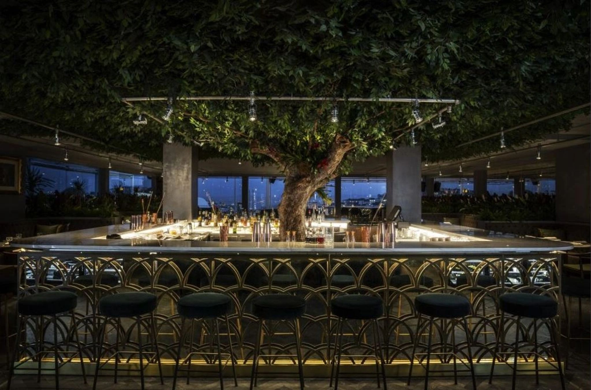 SEEN restaurante seen lisboa com mesas sob arvore iluminada e atmosfera noturna sofisticada