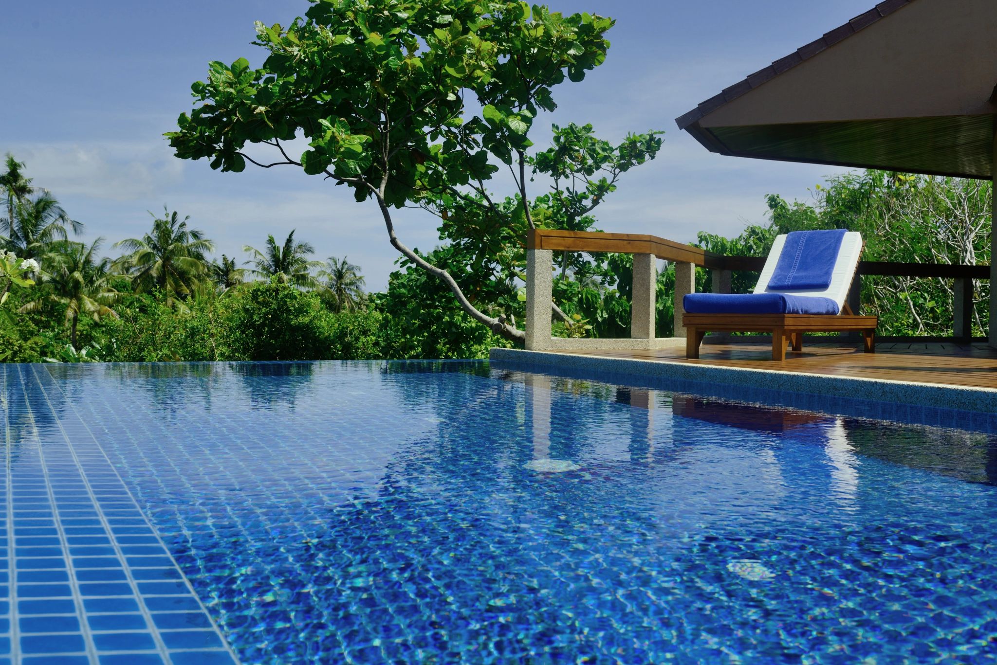 Treetop Pool Casita piscina externa - piscina ao ar livre - casa com piscina