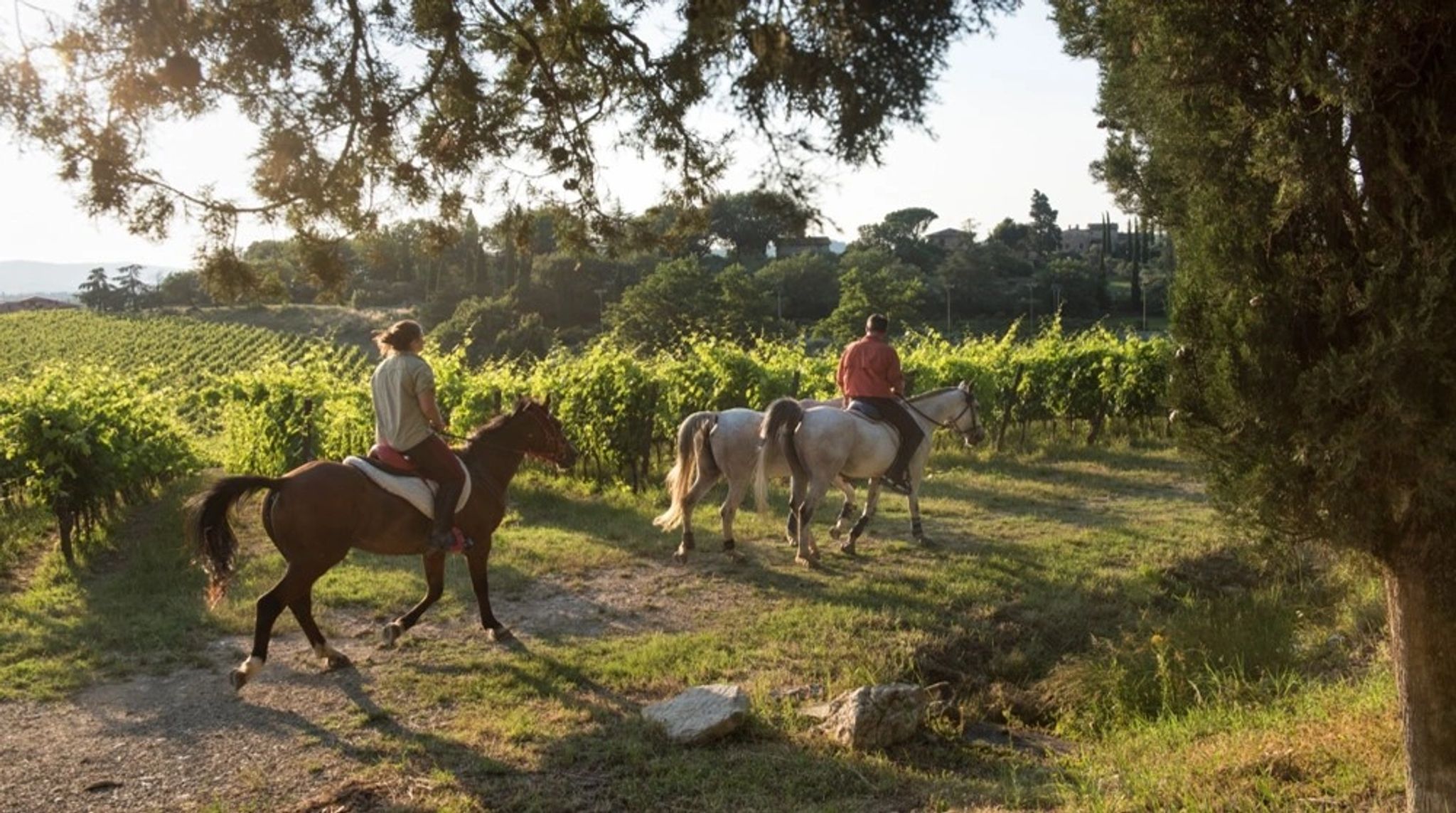 passeio a cavalo - equitaçao - atividade ao ar livre - tour a cavalo - lazer na toscana