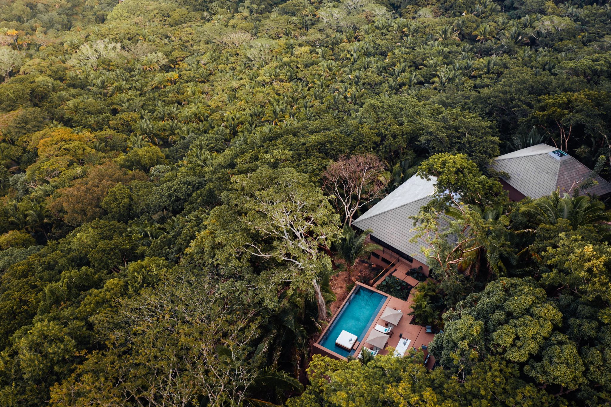 casa na arvore - vista aerea - floresta nativa - casa com piscina - casa na serra