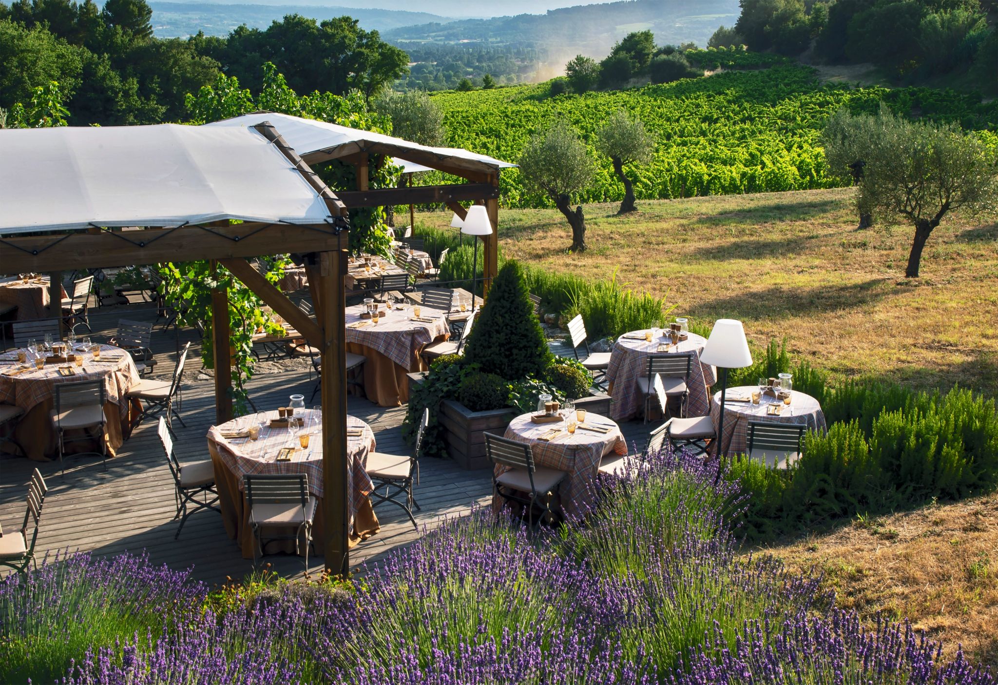 Restaurante Les Vignes et son Jardin plantaçao de lavanda - almoço com vista - restaurante com terraço - almoço no campo
