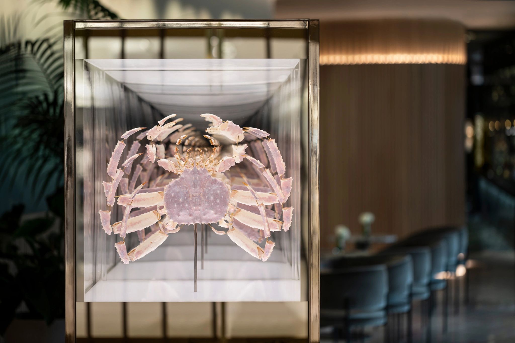 Coleção de arte do hotel obras de arte - coleçao de arte – design de luxo - arte