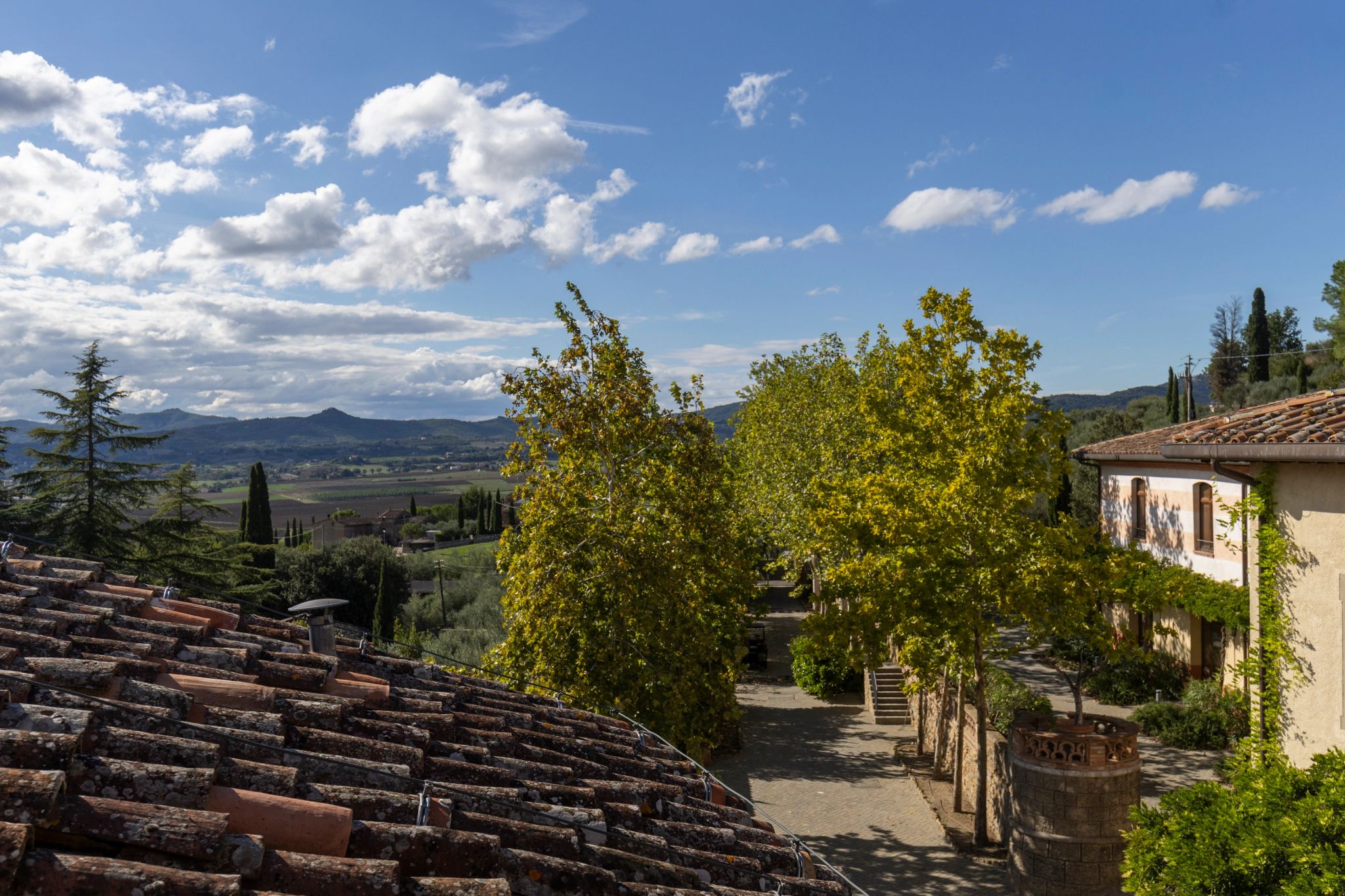 Junior Suite suite com vista – suite hotel – suite de luxo