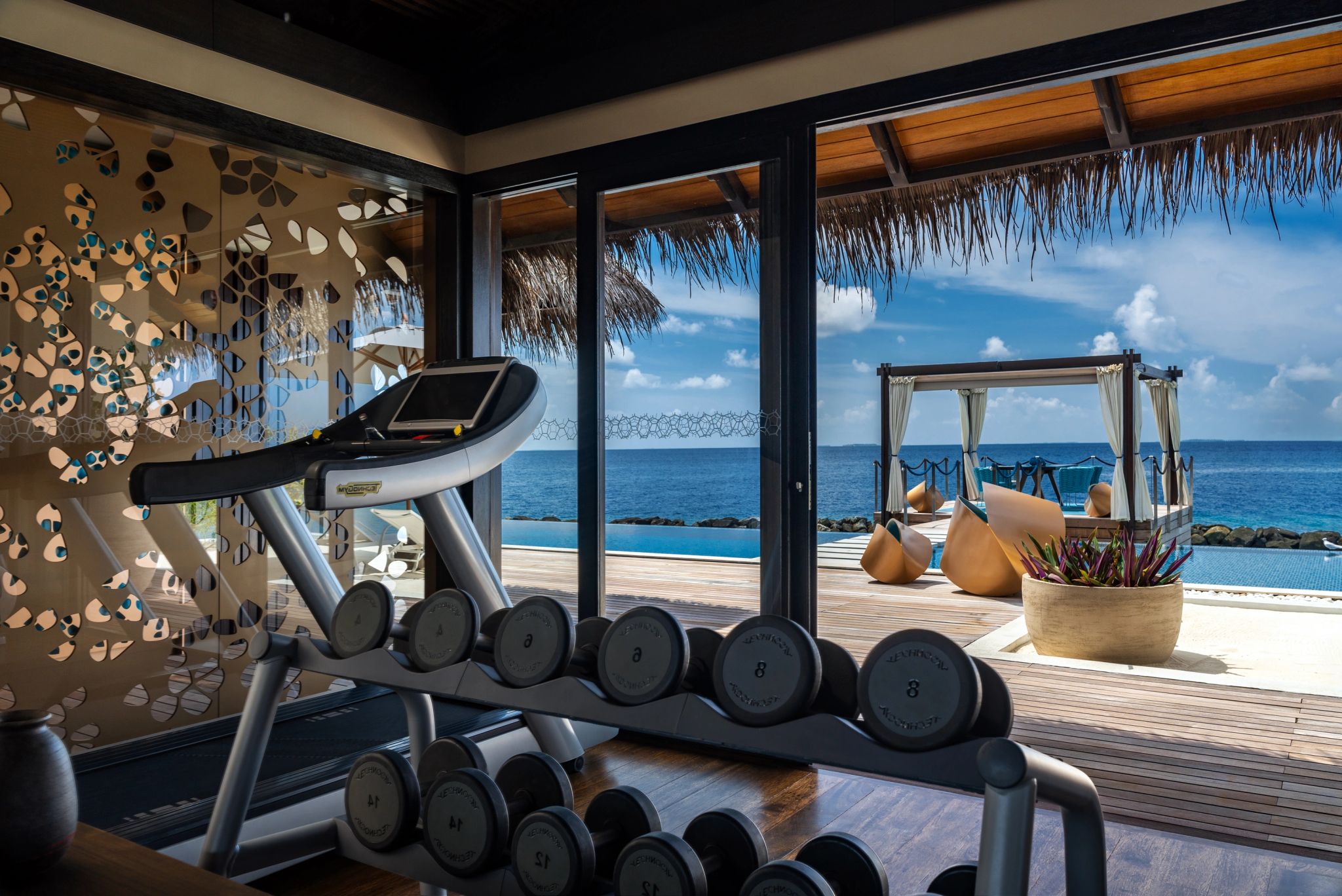 academia privativa - espaço fitness – academia com vista