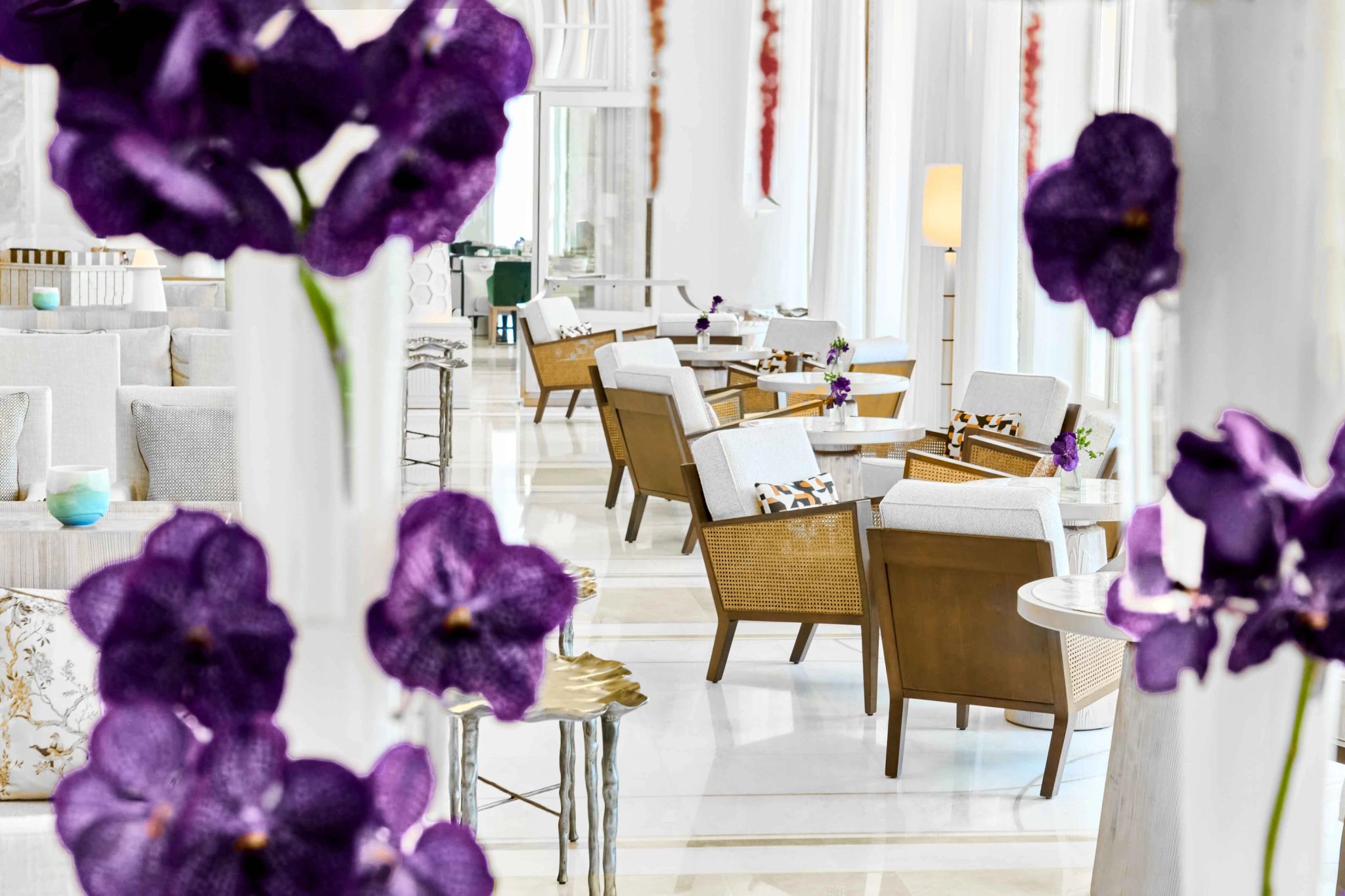 Camélia Tea Lounge orquidea roxa - espaço cha da tarde - lounge gourmet